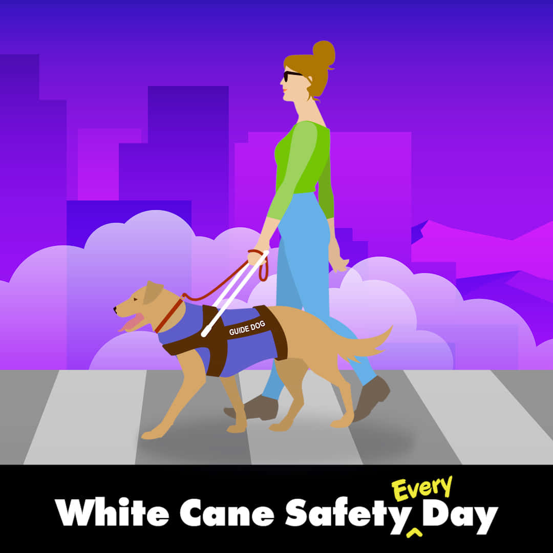 White Cane Safety Day, guide dog, white cane, SD Desktop Wallpaper