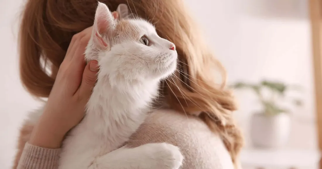 White Cat