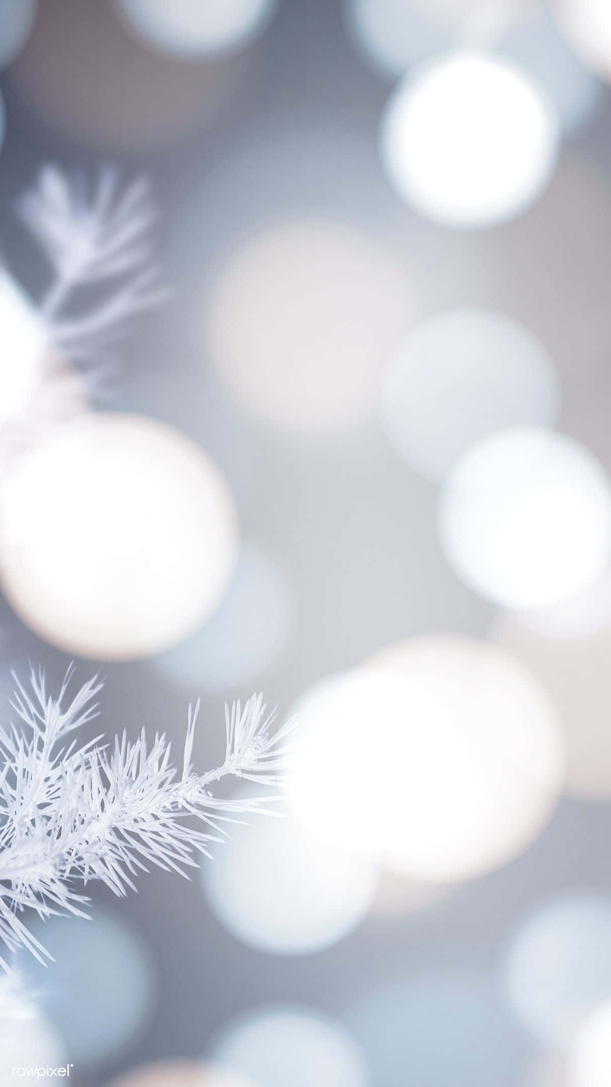 White Christmas Bokeh Background, frosty pine branch, ice crystals, Full HD Phone Wallpaper