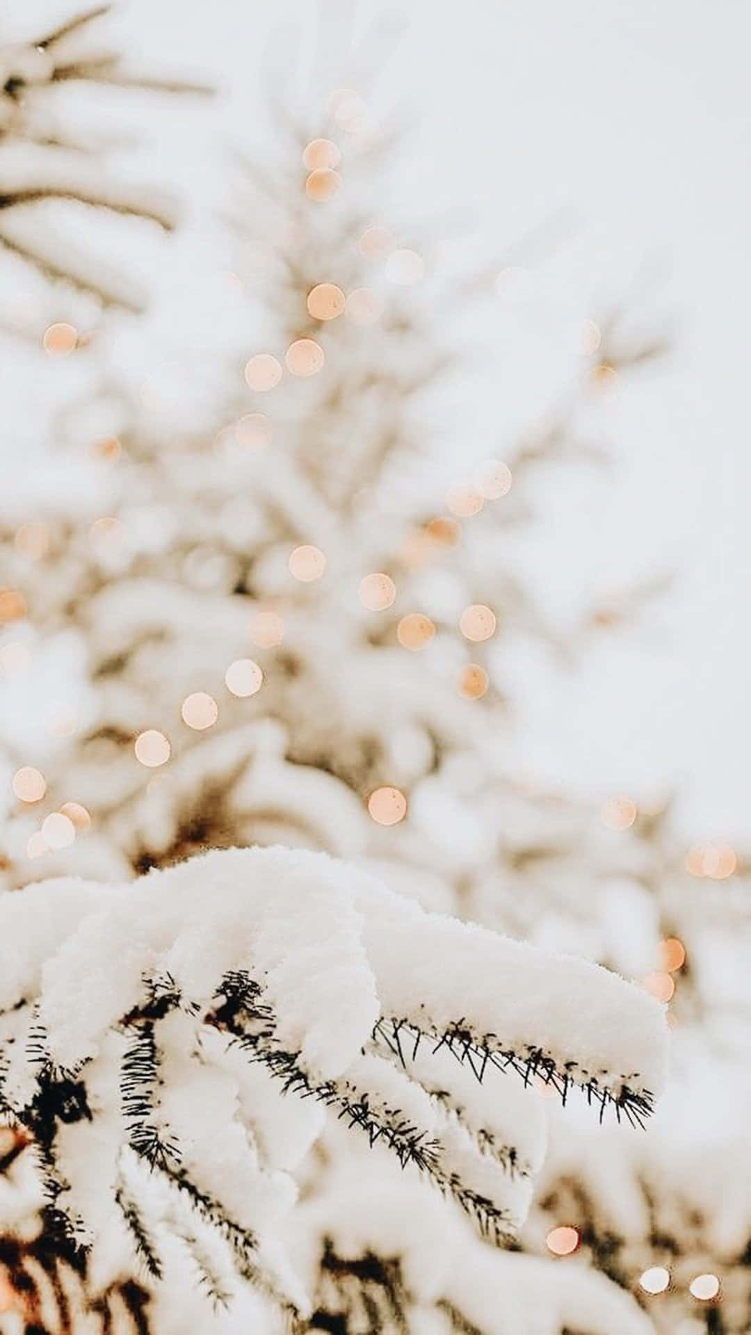 snowy pine branch, twinkling lights, warm golden bokeh lights, Full HD Phone Wallpaper