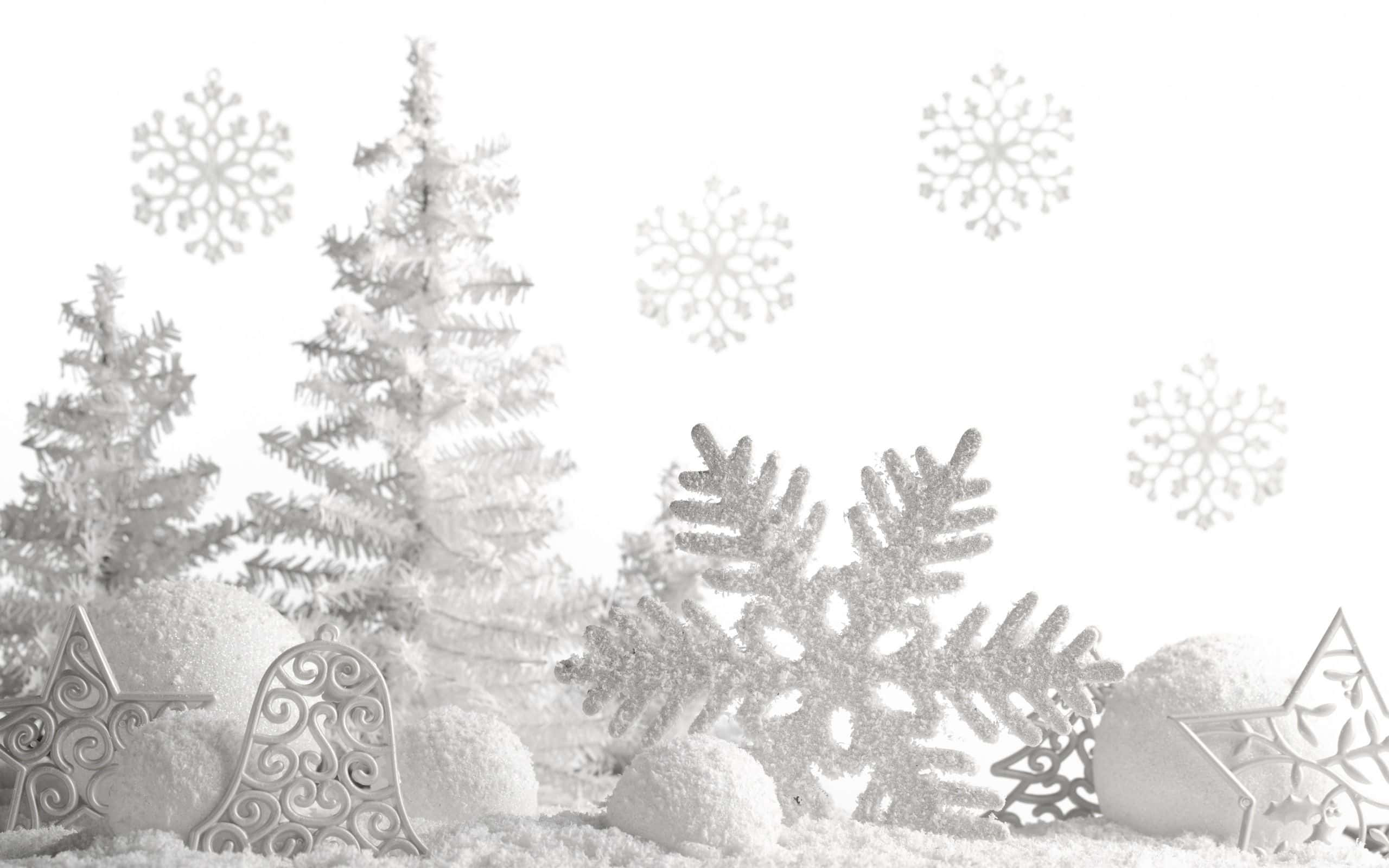 white christmas, frosted pine trees, snowballs, 2K Desktop Wallpaper