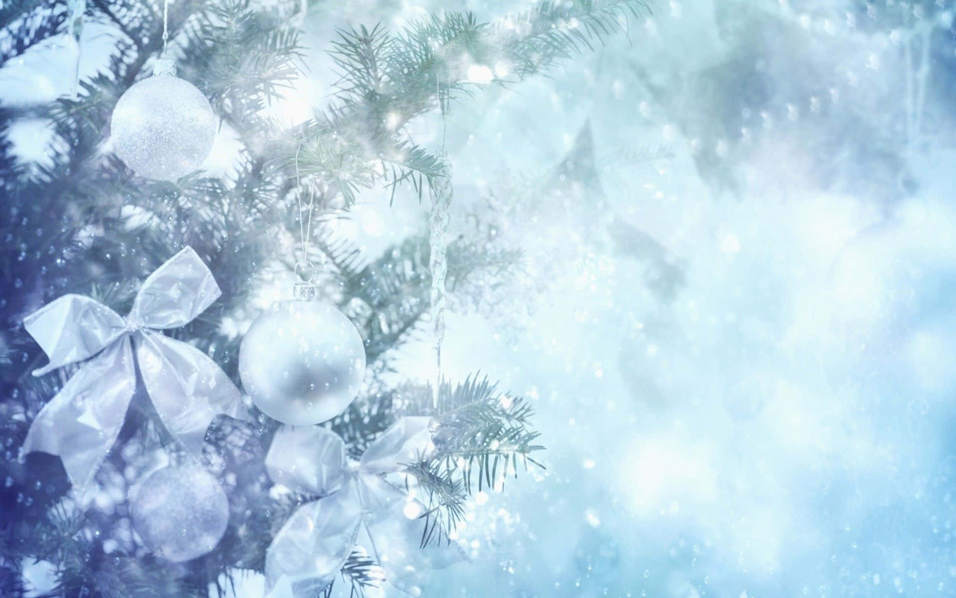 White christmas, blue background, frosty evergreen branch, Full HD Desktop Wallpaper