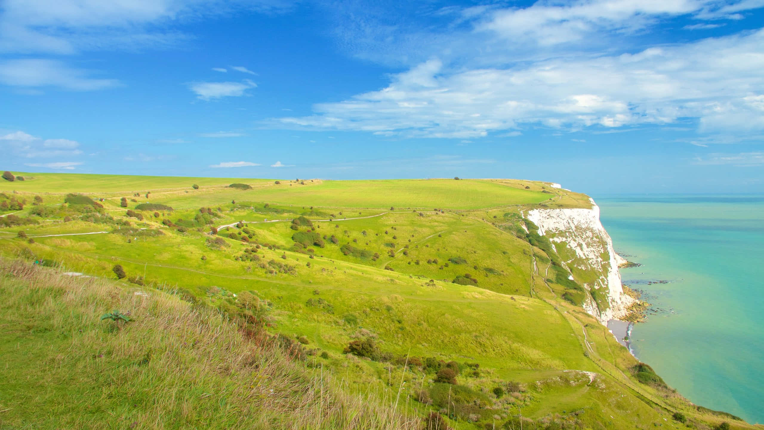 White Cliffs Of Dover, grassland, turquoise sea, 2K Desktop Wallpaper