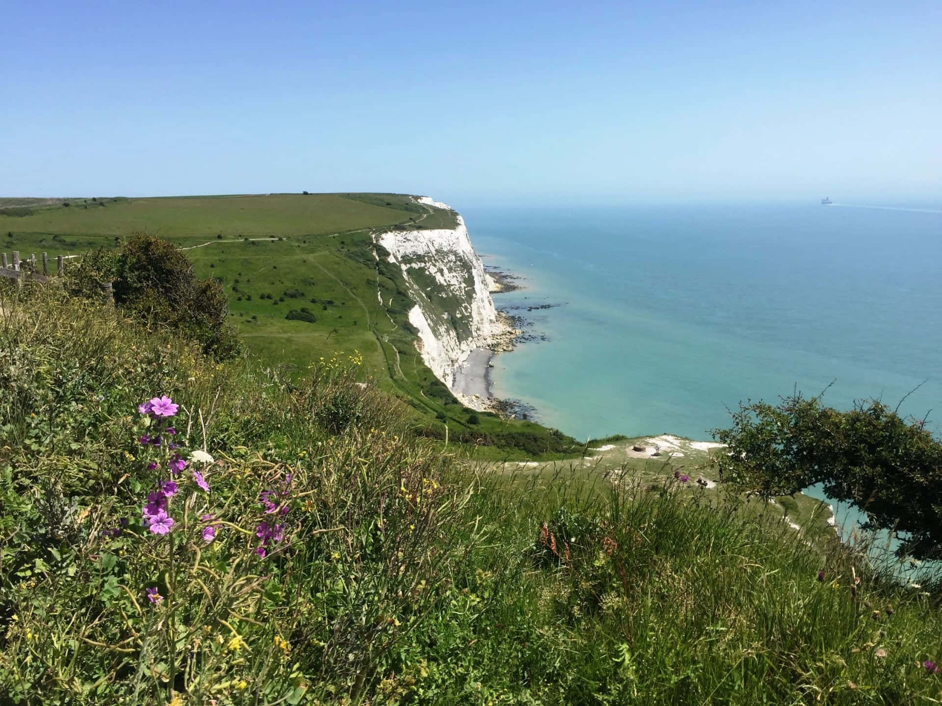 White Cliffs Of Dover, vibrant purple wildflowers, turquoise sea, Full HD Desktop Wallpaper