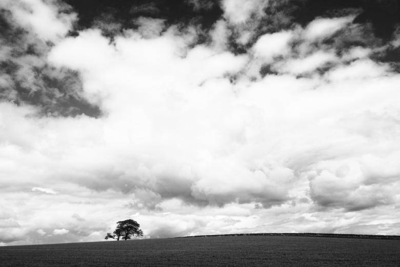 Plain White Clouds, vast dramatic sky, textured clouds, SD Desktop Wallpaper