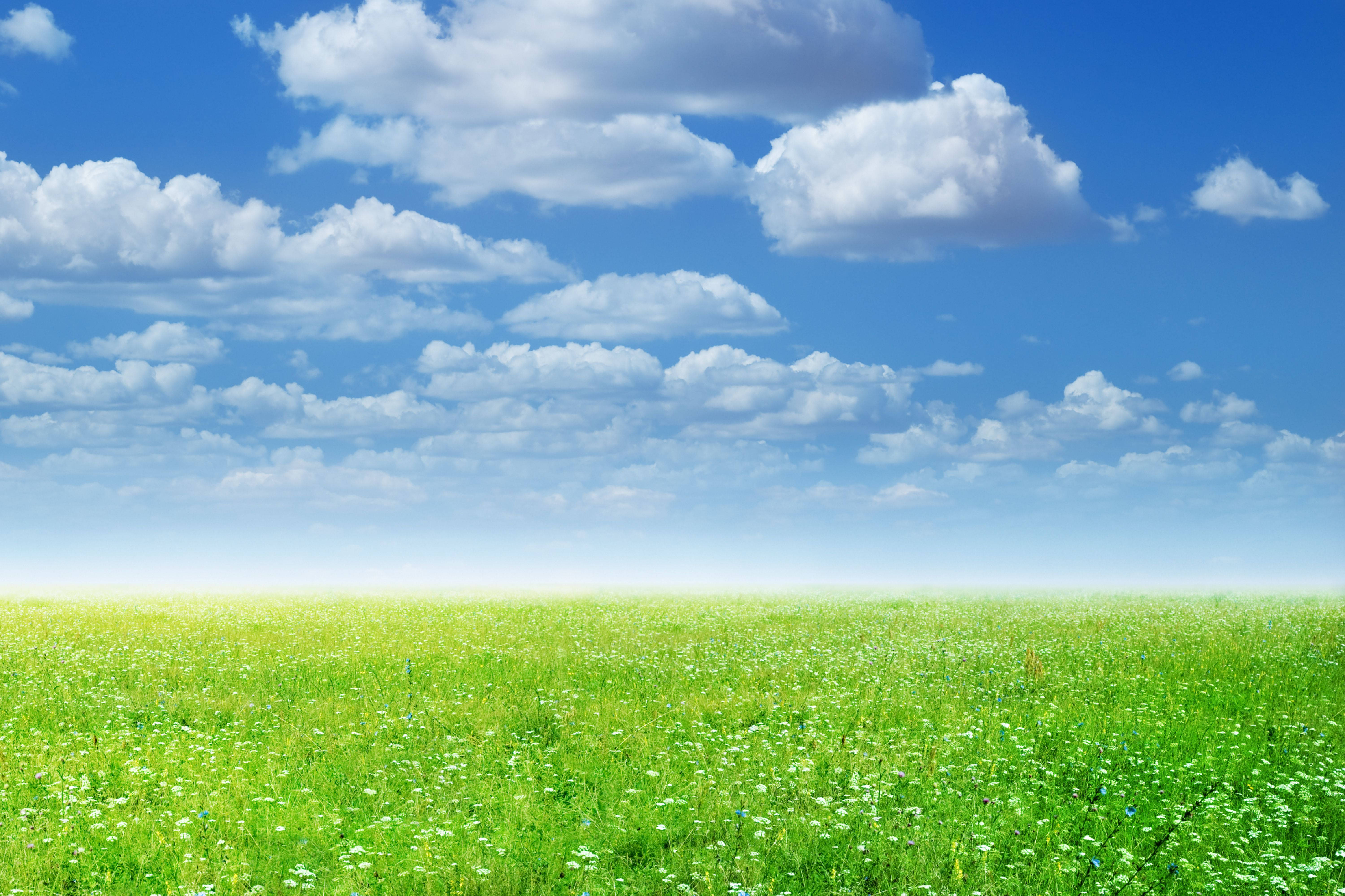green field, fluffy white clouds, bright blue sky, 5K Desktop Wallpaper