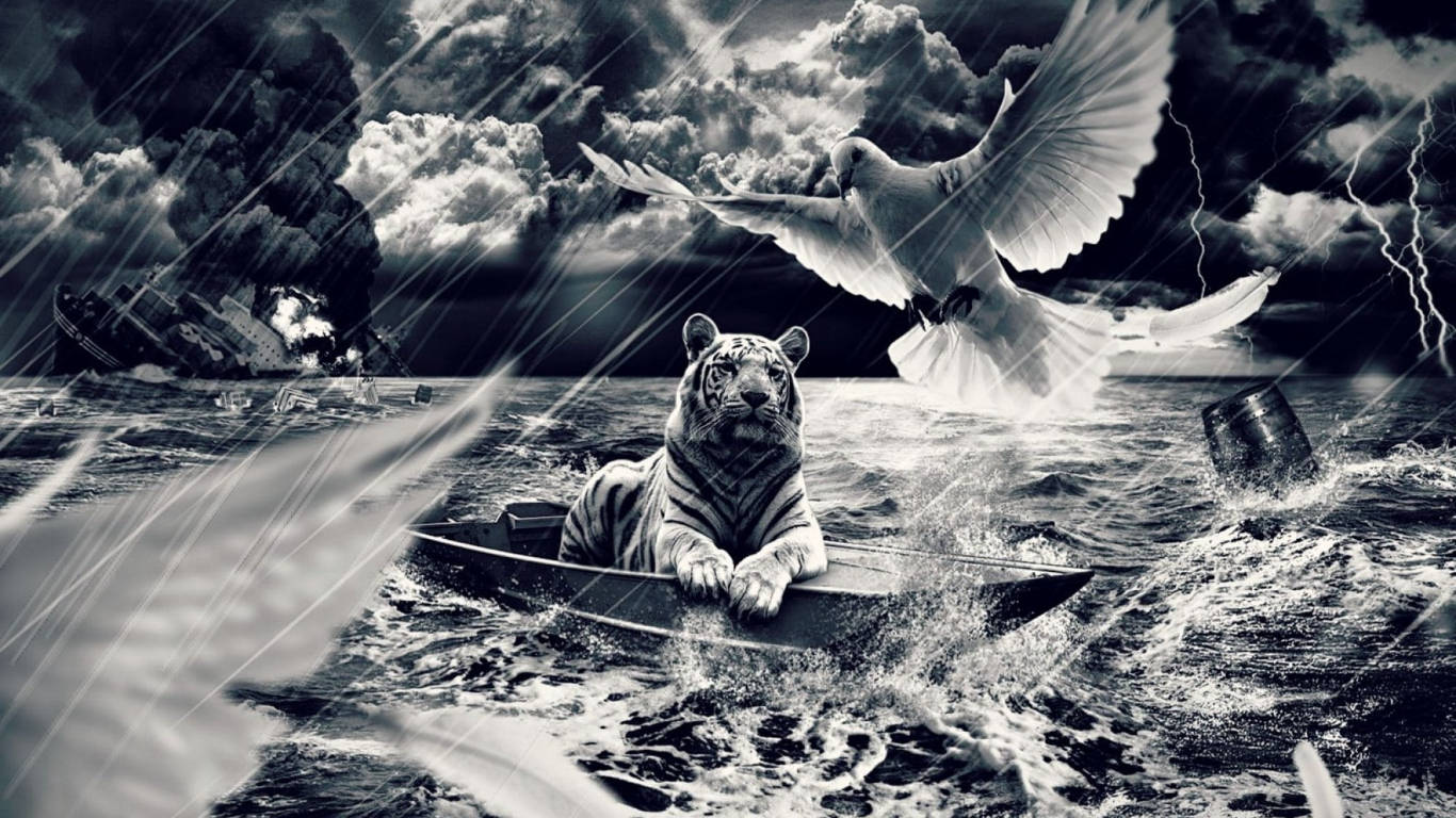White Dove, tiger, small boat, HD Desktop Wallpaper