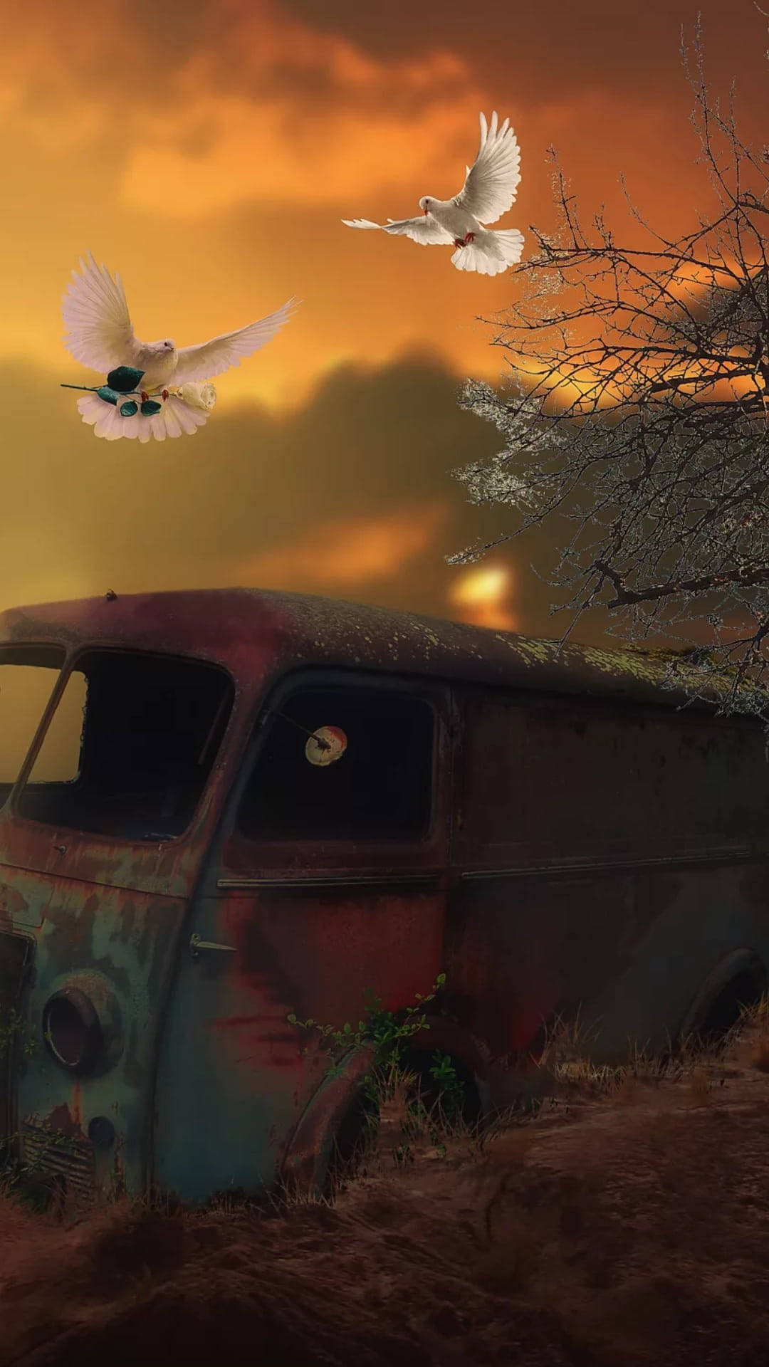 White Dove, old rusty van, fiery orange sunset, Full HD Phone Wallpaper