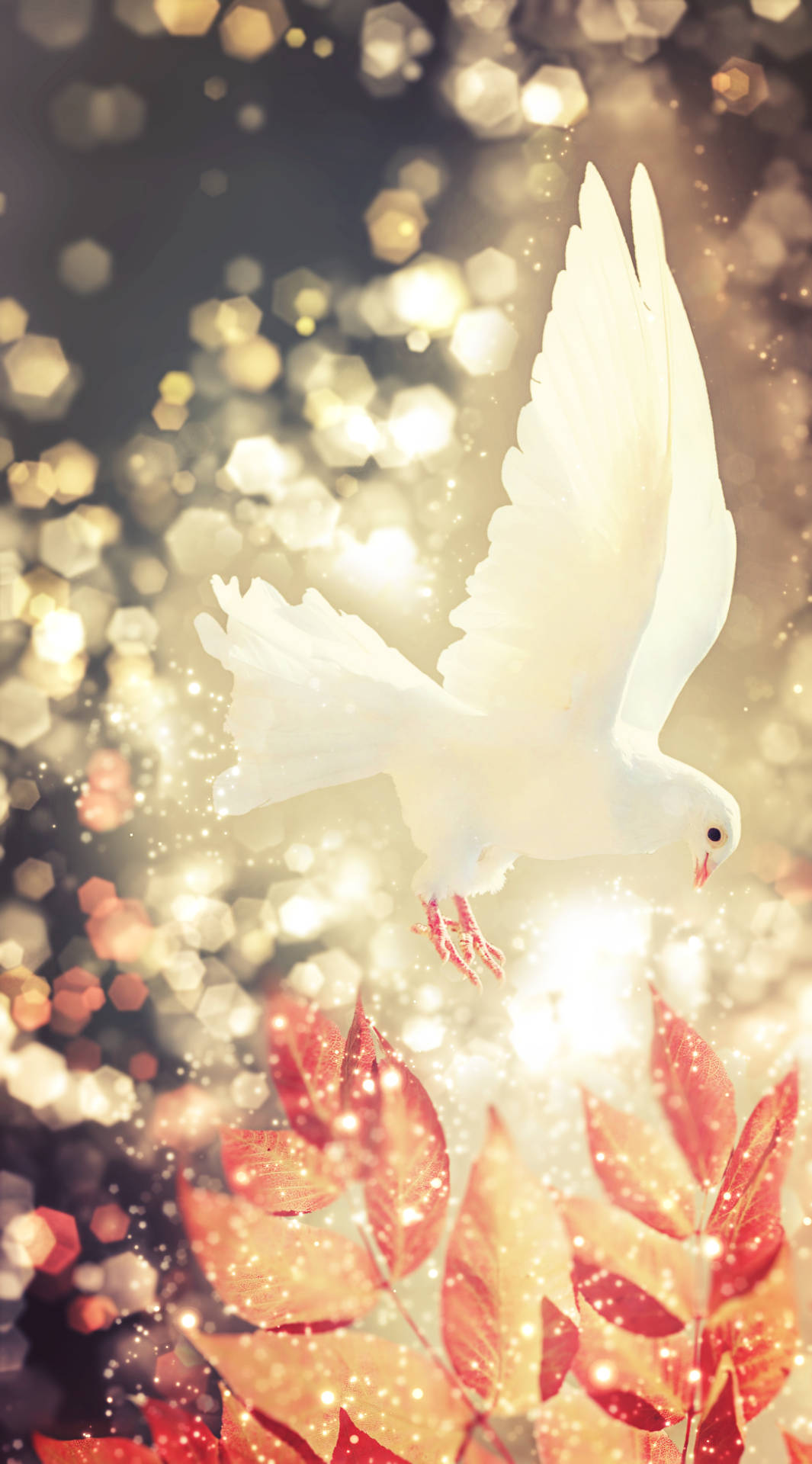 White Dove, autumn leaves, glowing, Full HD Phone Wallpaper