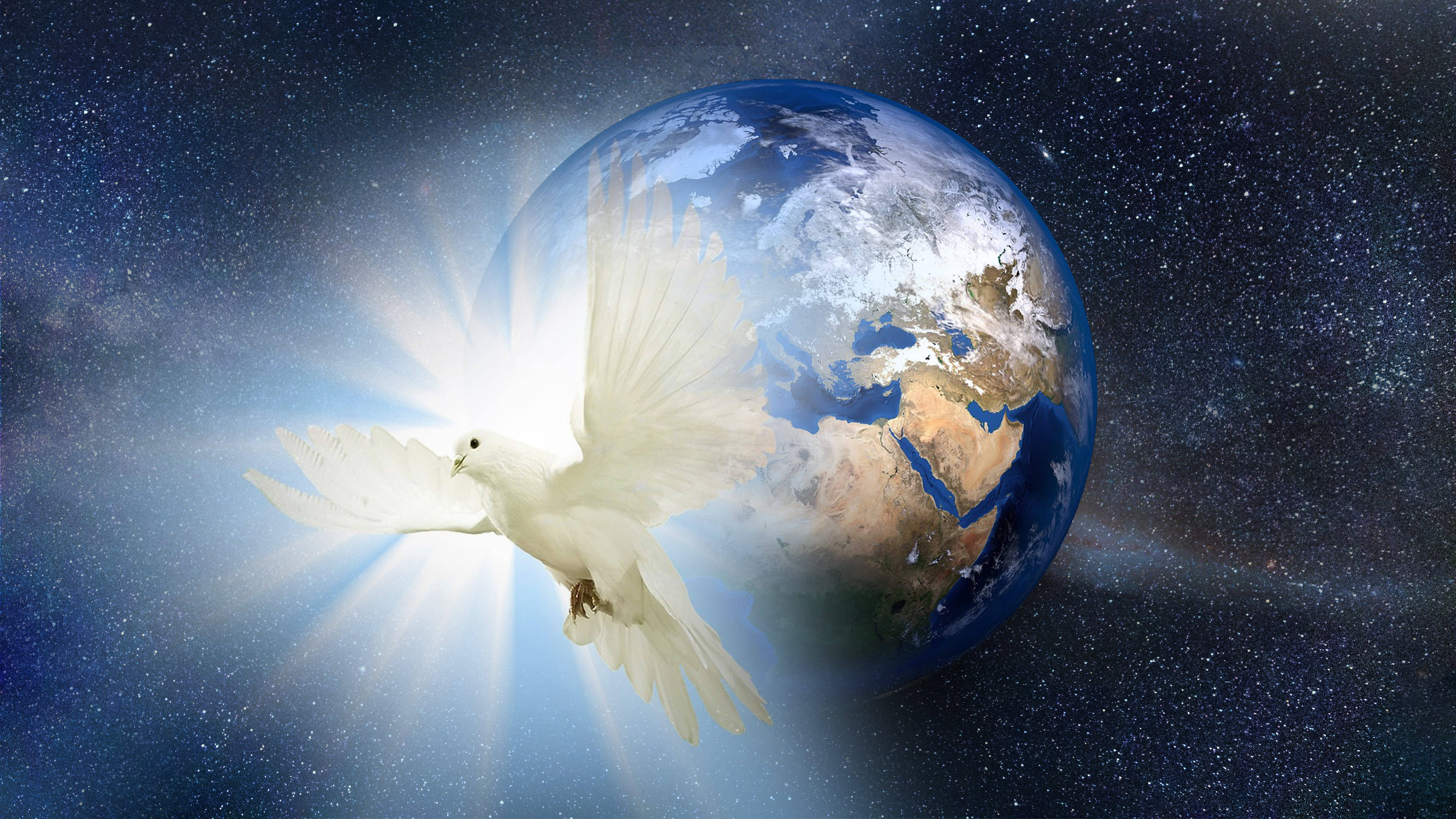 White Dove, Earth, starry cosmic backdrop, 5K Desktop Wallpaper