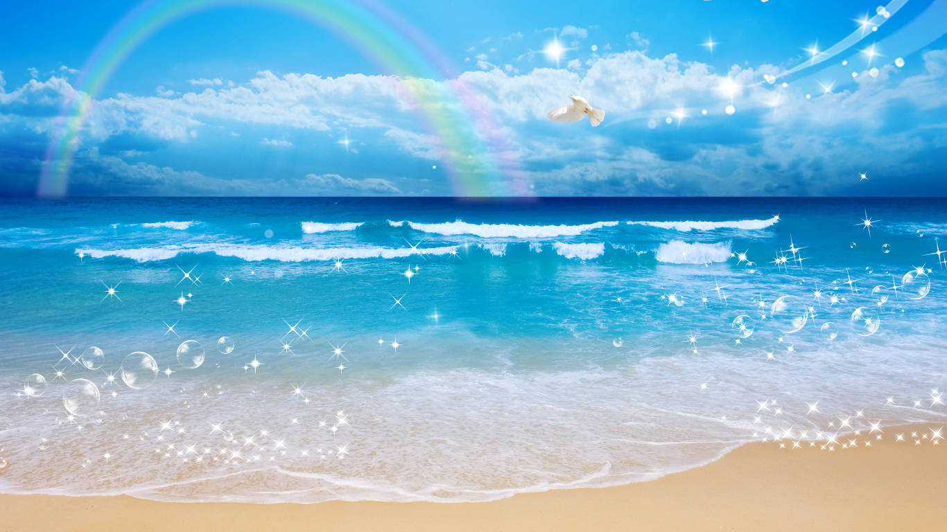 White Dove, turquoise waves, golden sand, HD Desktop Wallpaper