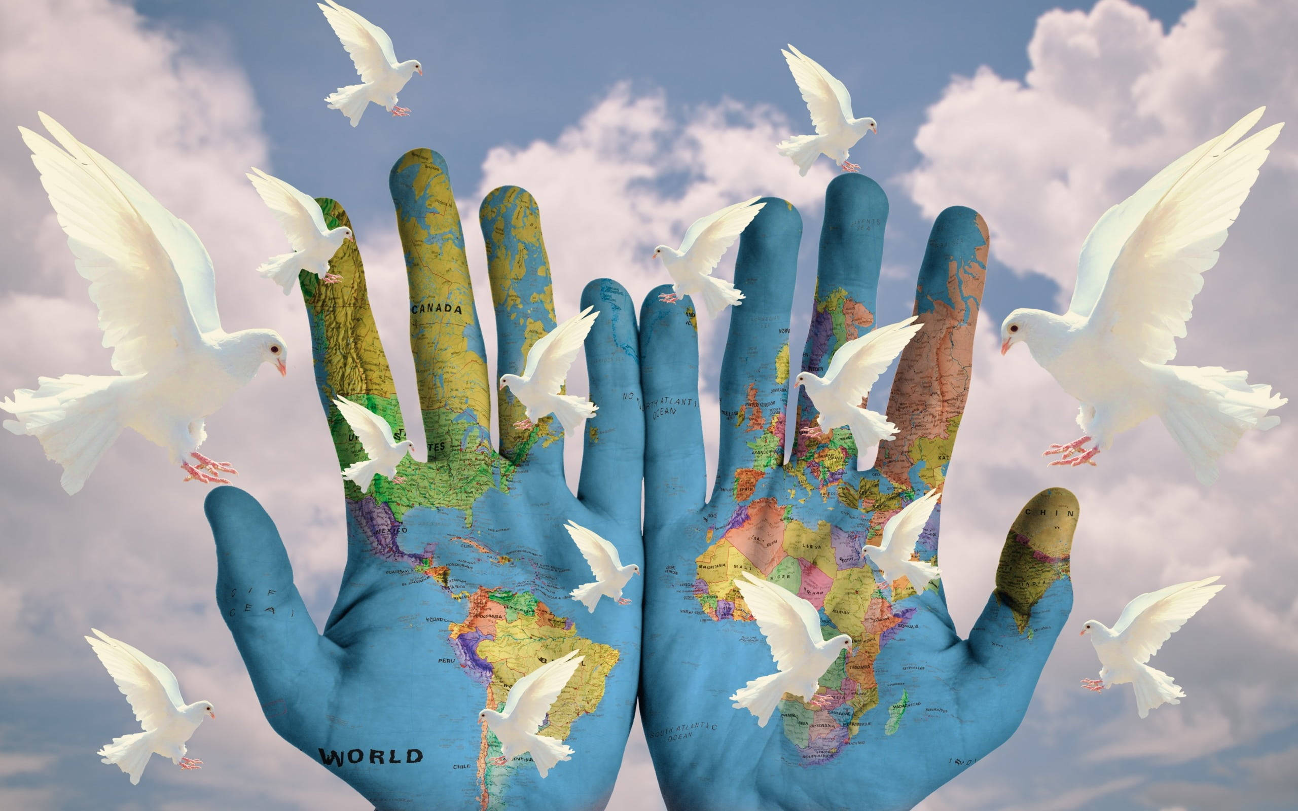 White Dove, hands, world maps, 2K Desktop Wallpaper