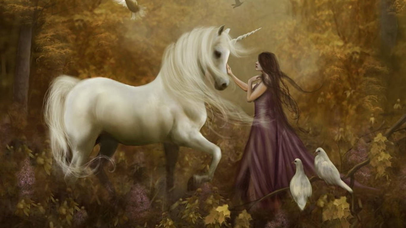 white unicorn, autumn forest, woman in a purple gown, HD Desktop Wallpaper