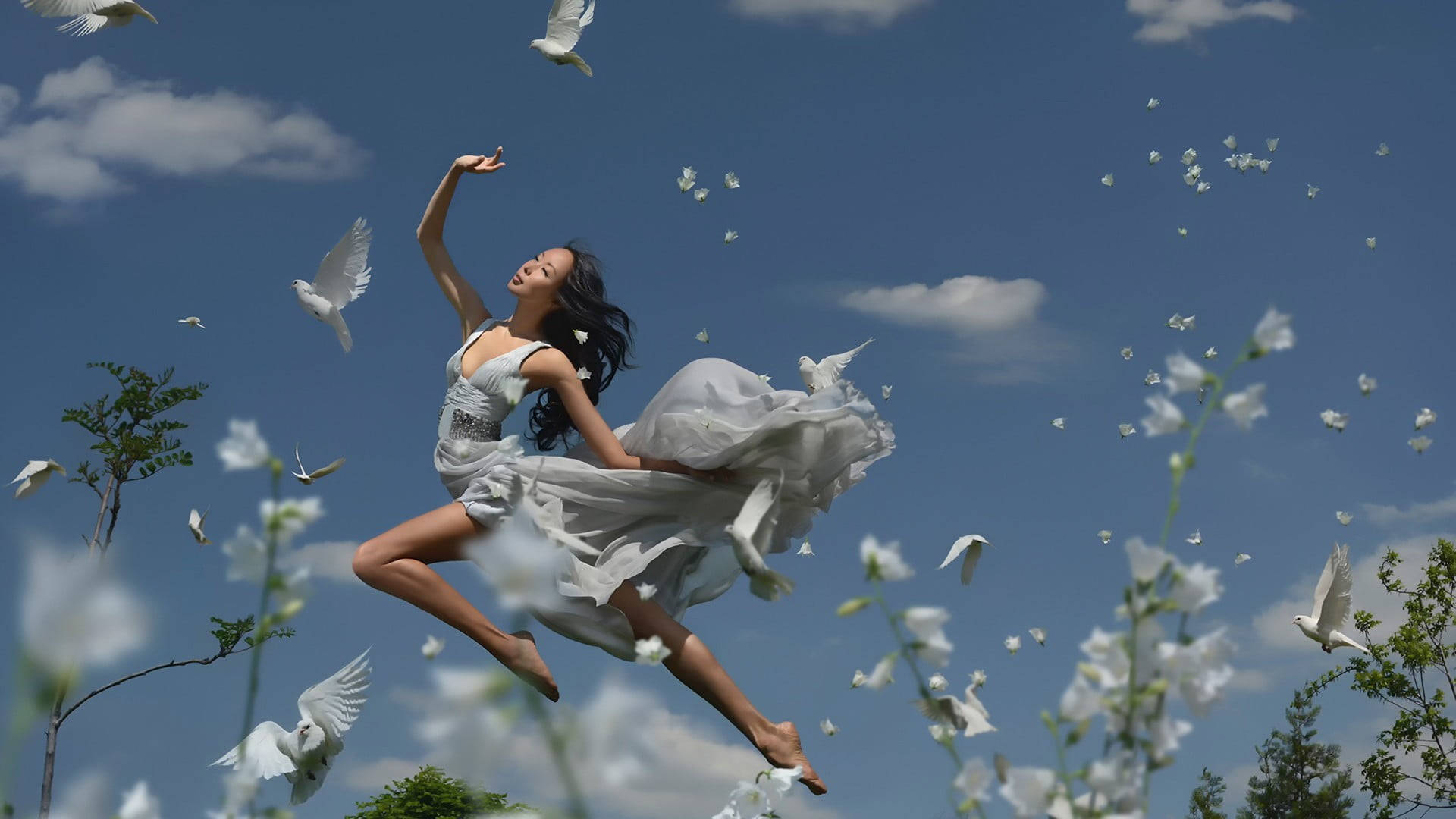 White Dove, dandelions, white doves, Full HD Desktop Wallpaper