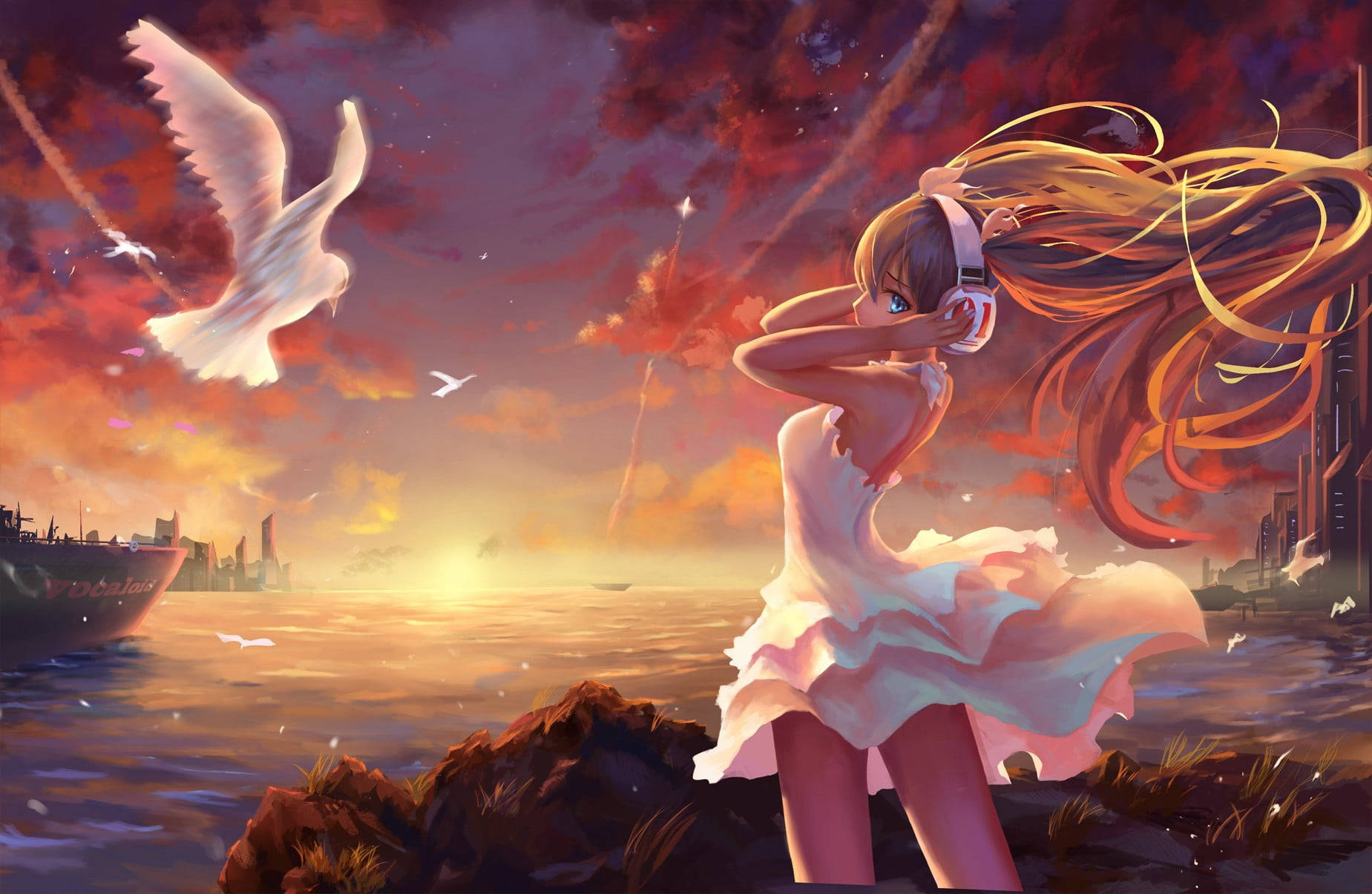 White Dove, sunset, fiery sunset sky, HD Desktop Wallpaper