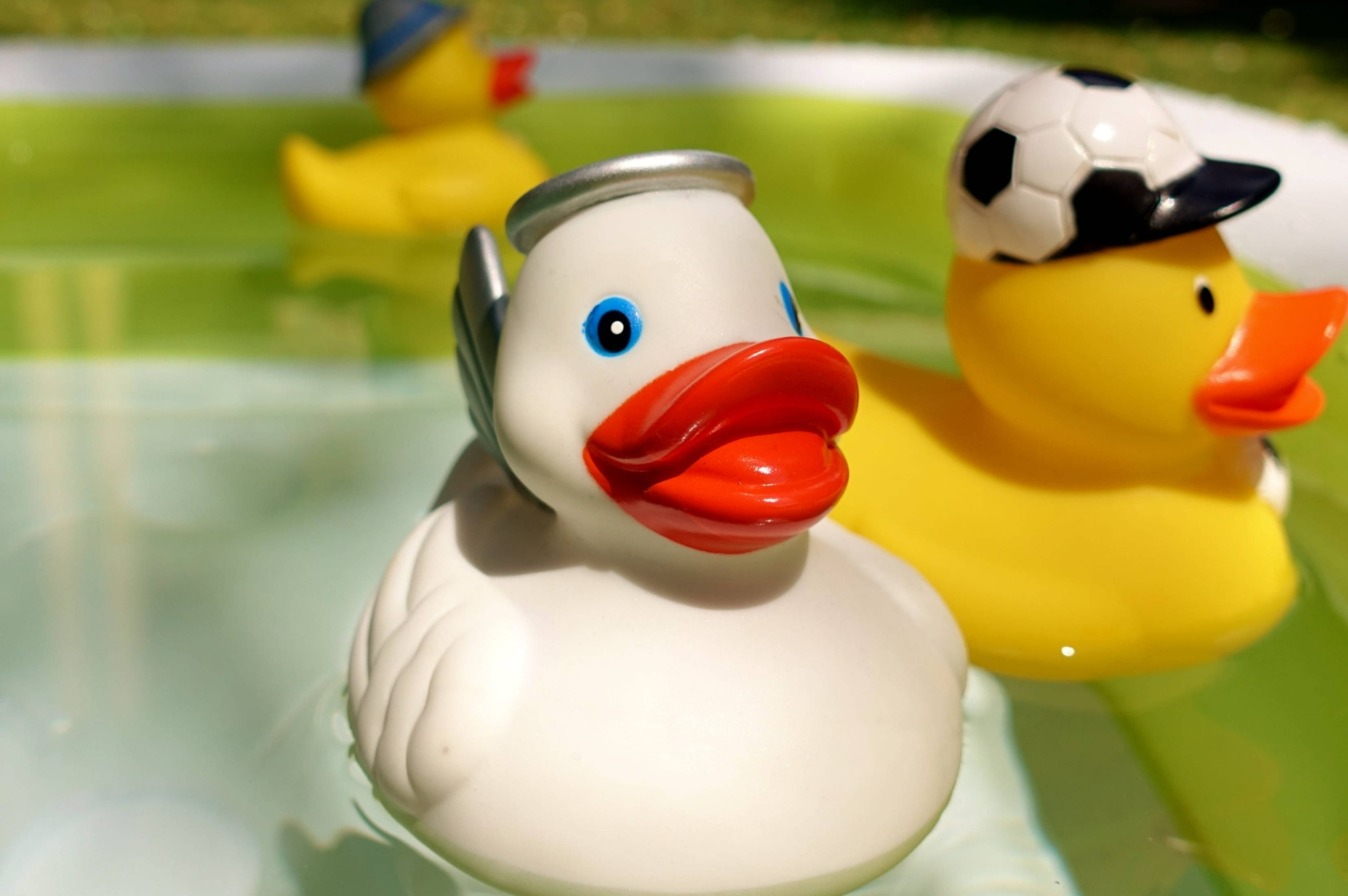 rubber duck, kiddie pool, soccer ball cap, 2K Desktop Wallpaper