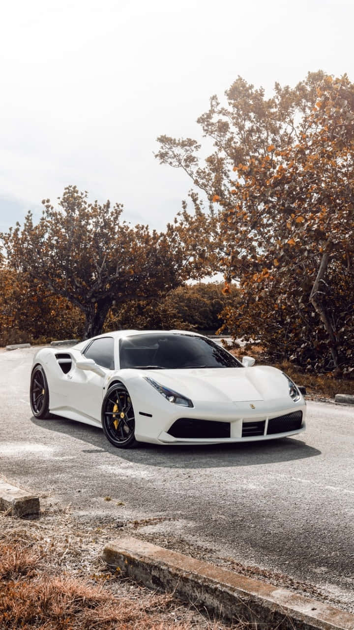 White Ferrari, Ferrari sports car, gravel road, HD Phone Wallpaper