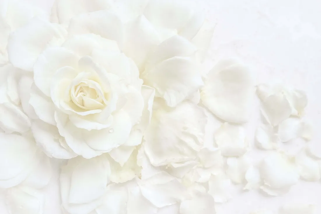 White Floral