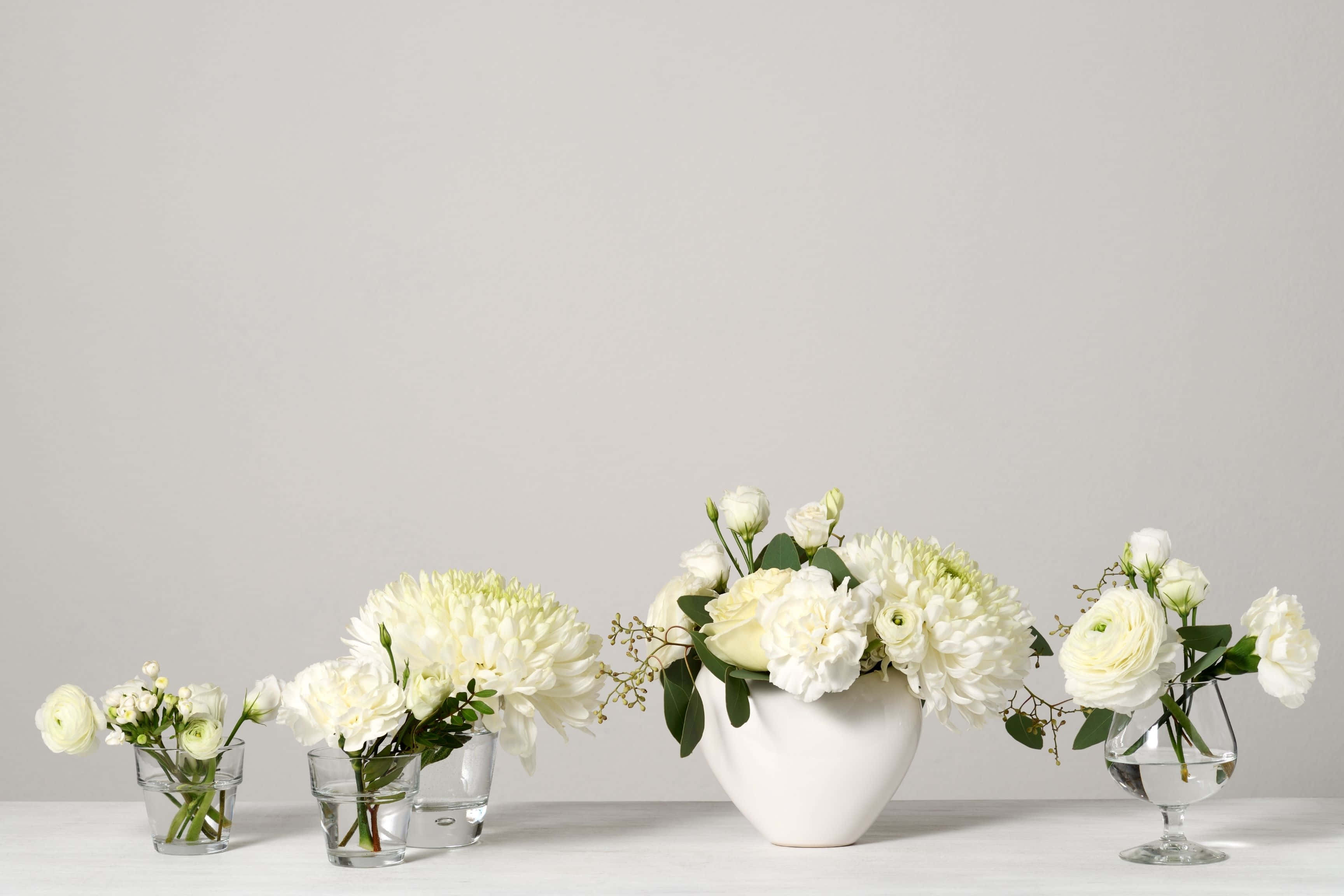 white floral arrangement, white flowers, glass vases, 2K Desktop Wallpaper
