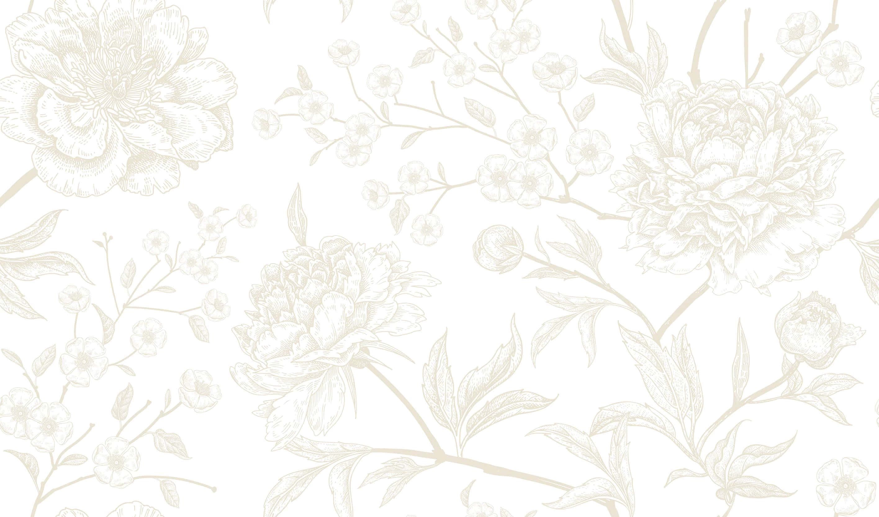 elegant white floral pattern, beige floral pattern, detailed peonies, 2K Desktop Wallpaper