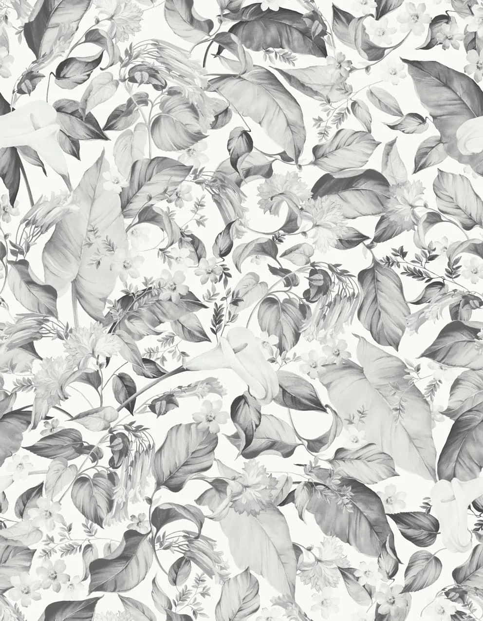 monochrome floral pattern, floral, leaf patterns, SD Phone Wallpaper