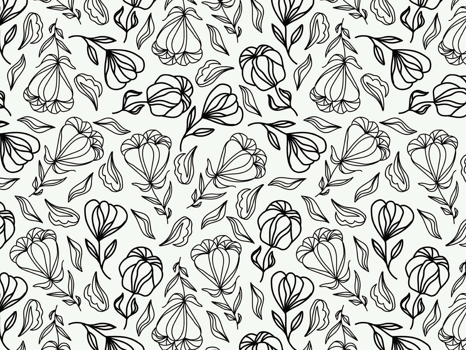 monochrome floral pattern background, black line drawing, stylized flowers, HD Desktop Wallpaper