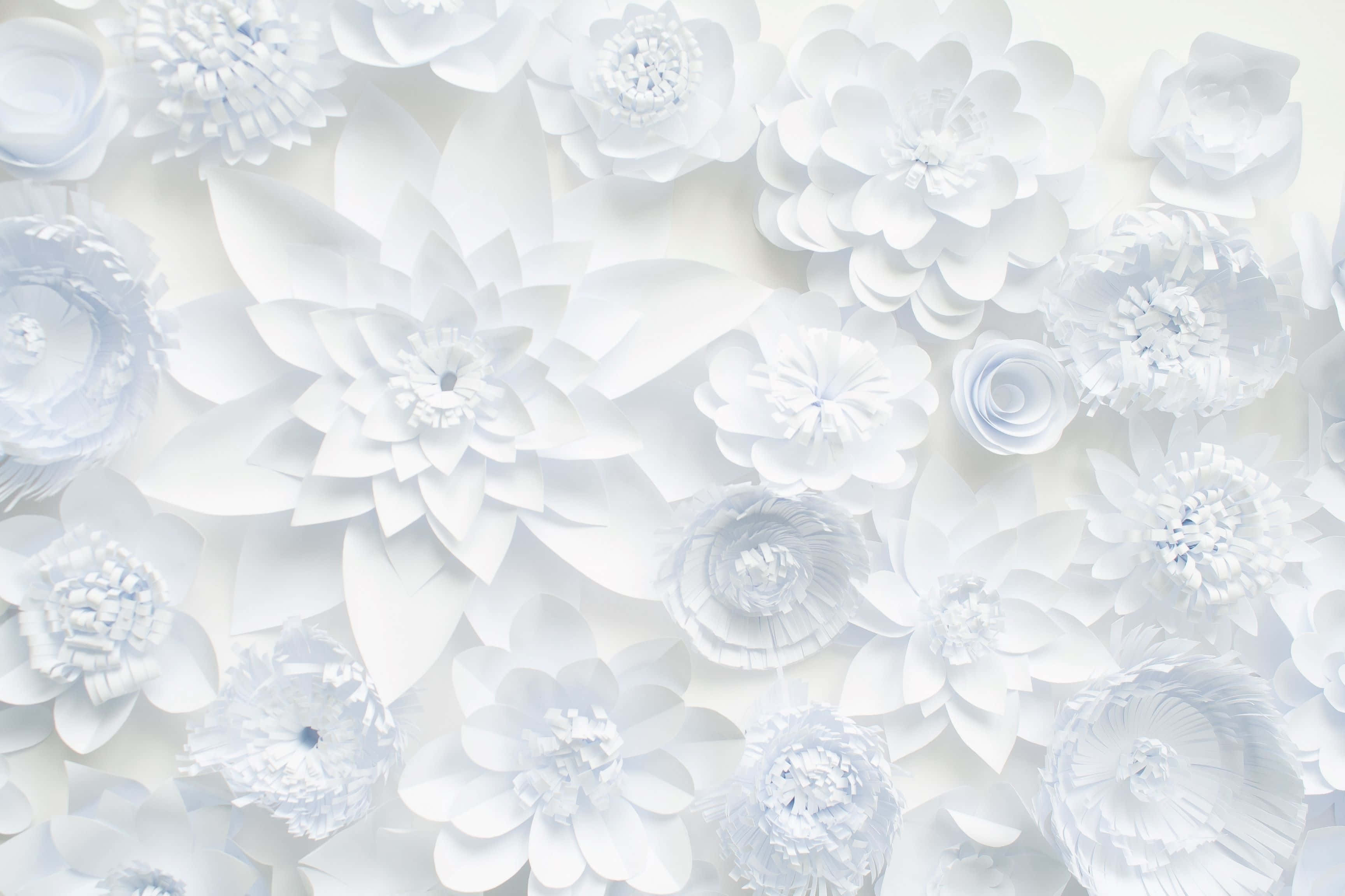 white paper flowers, intricate, varying shapes and sizes, 2K Desktop Wallpaper