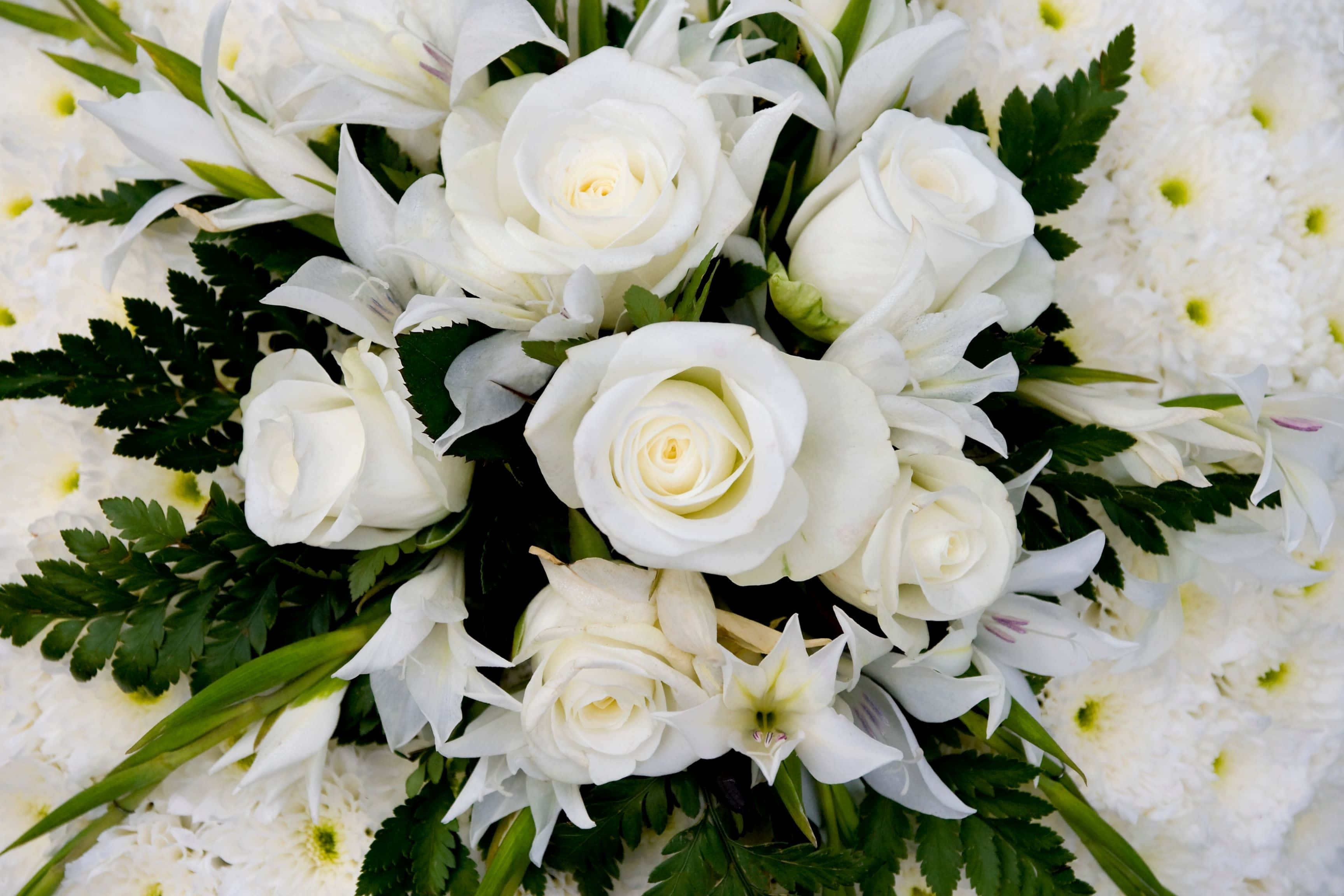 white rose bouquet, roses, lilies, 2K Desktop Wallpaper