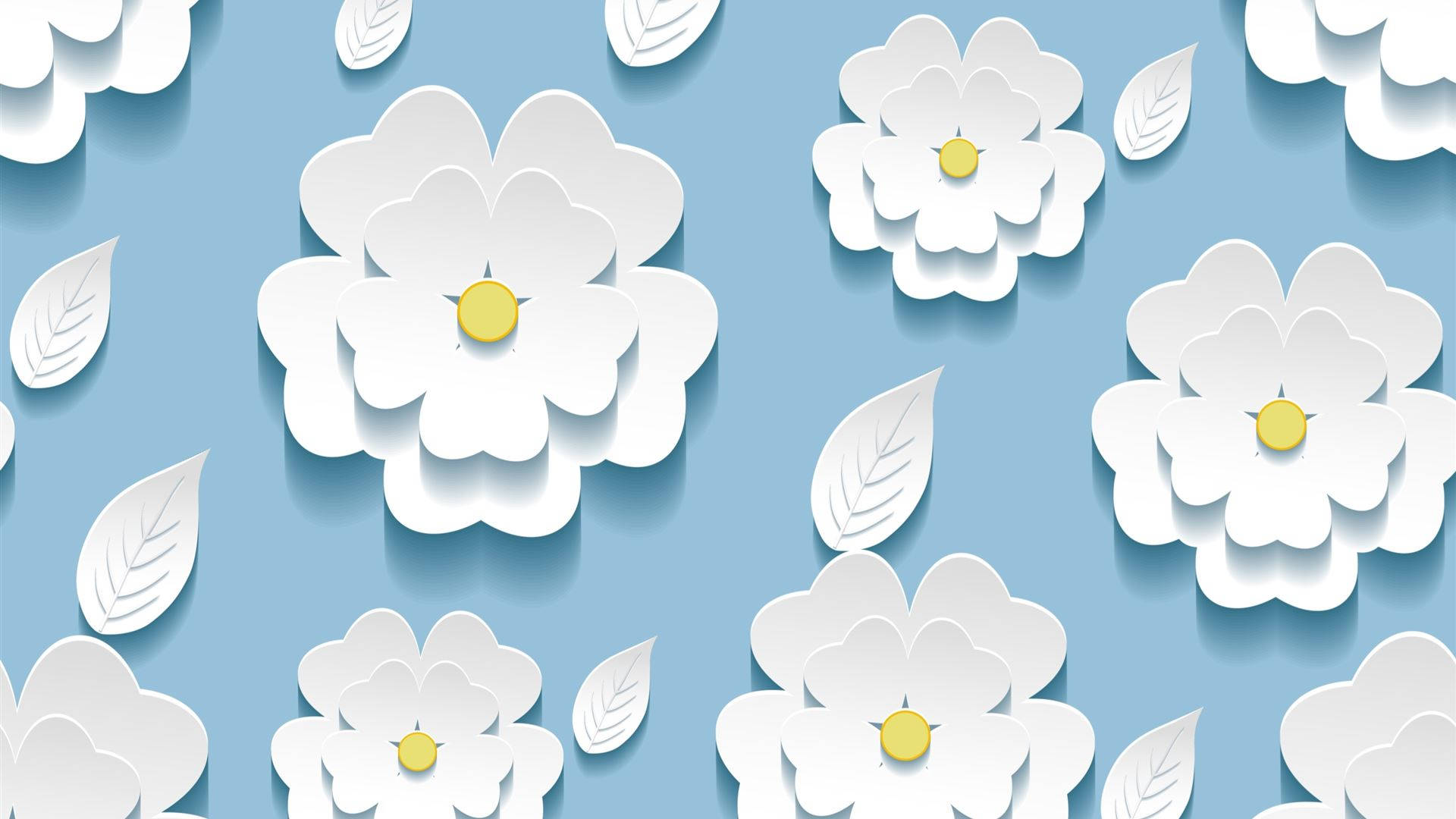 white flower, iPhone, soft blue background, Full HD Desktop Wallpaper