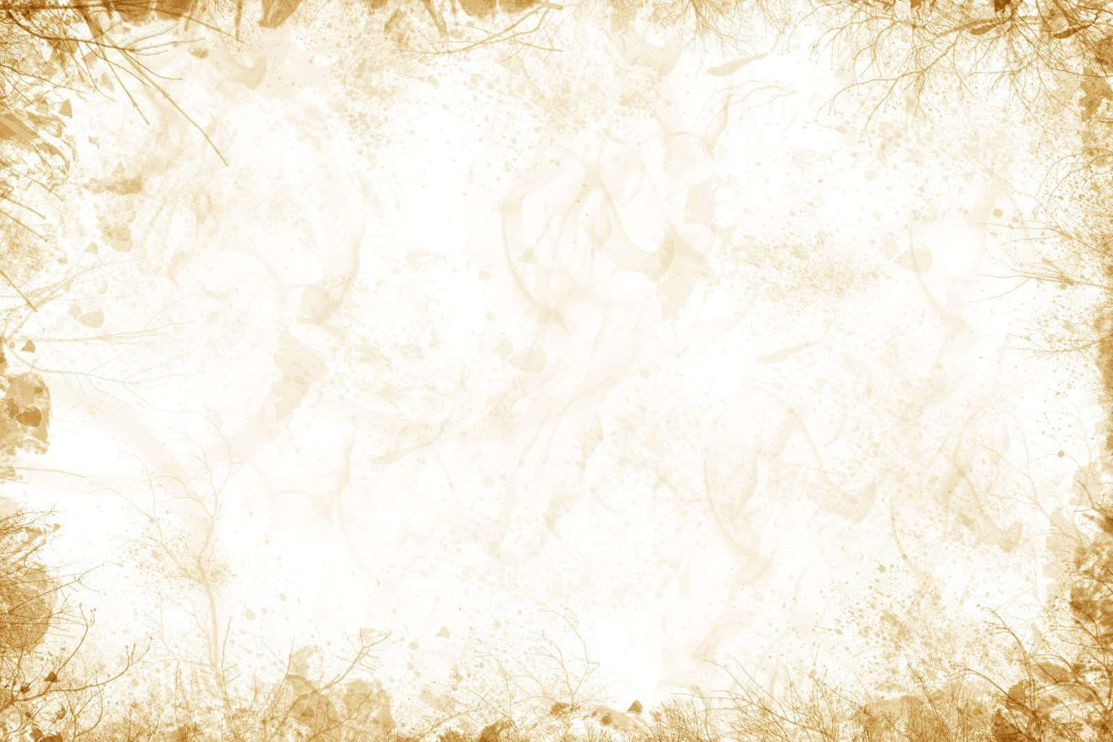 White Gold, 1600 x 1067, beige, HD Desktop Wallpaper