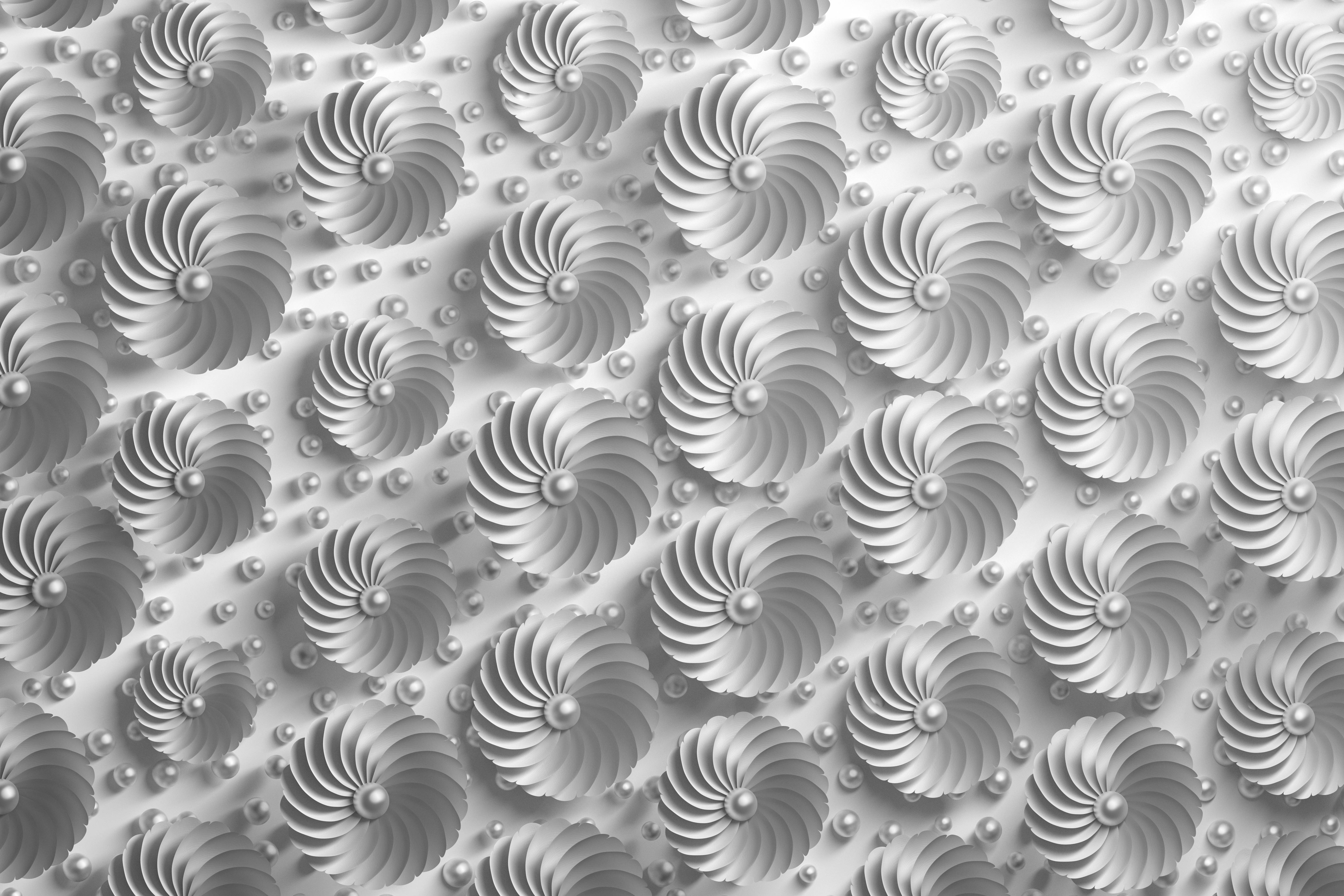 White HD, 3D flower texture, monochrome, 5K Desktop Wallpaper