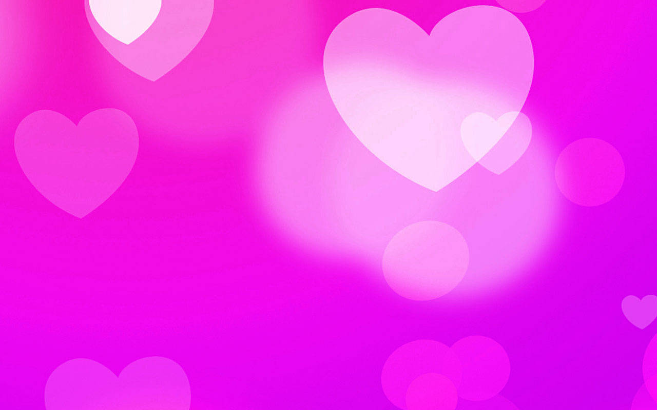 White Hearts, pink gradient, bokeh effects, HD Desktop Wallpaper