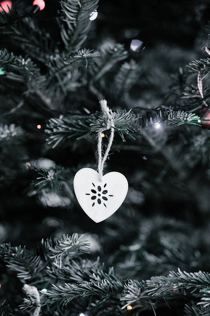 White Heart, Christmas tree, pine tree, SD Phone Wallpaper
