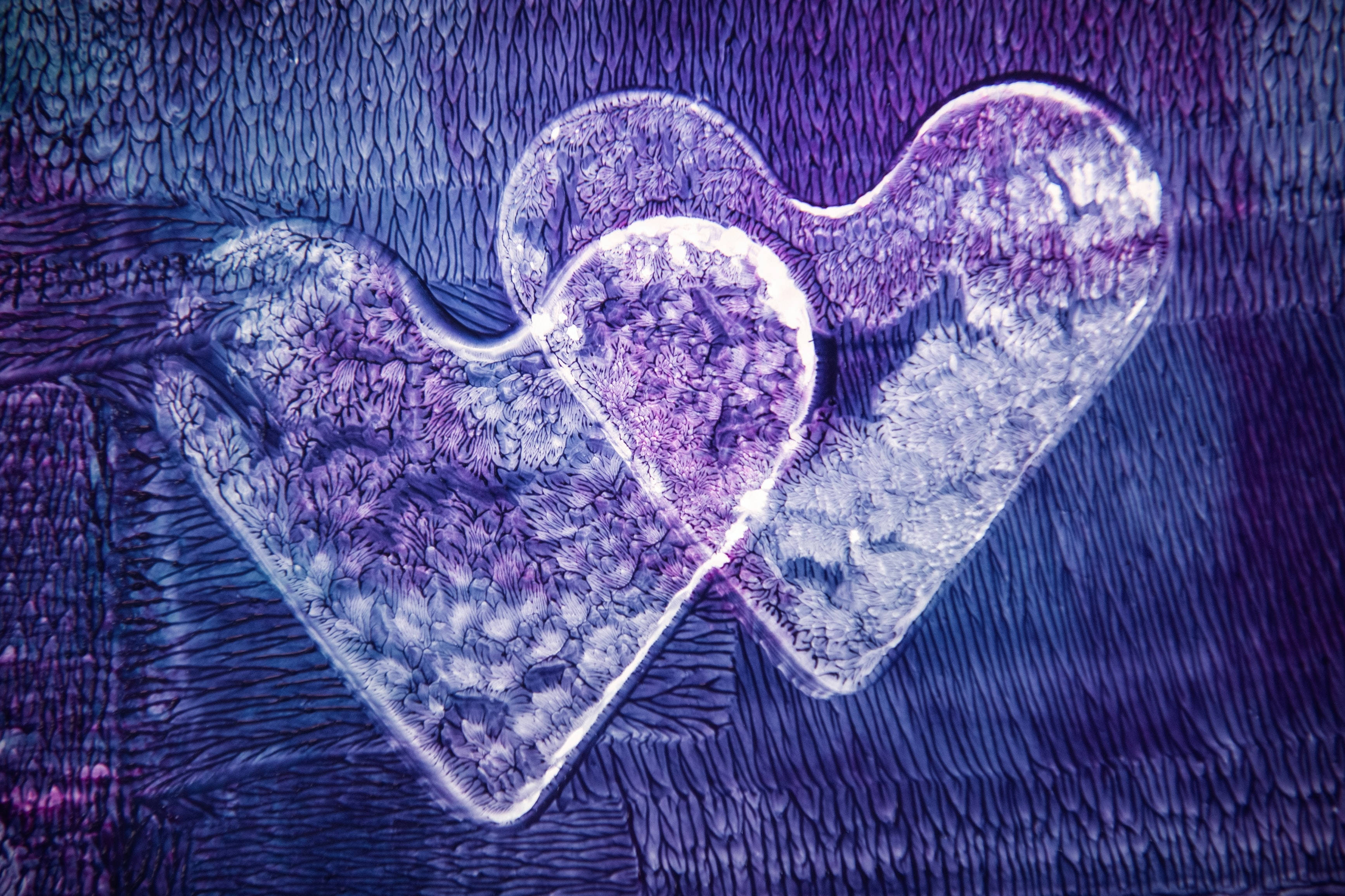 Two Purple White Hearts, translucent hearts, frosty textures, 2K Desktop Wallpaper