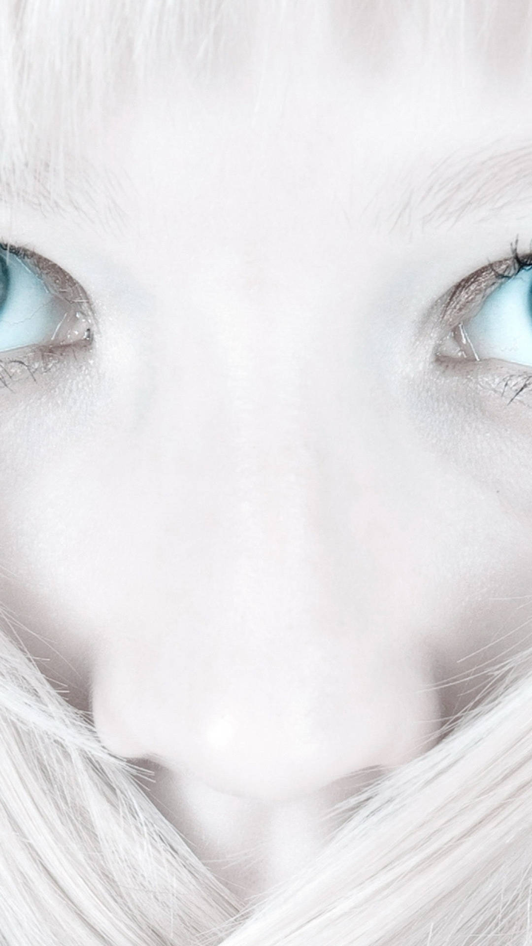 iPhone, white, close-up, Full HD Phone Wallpaper