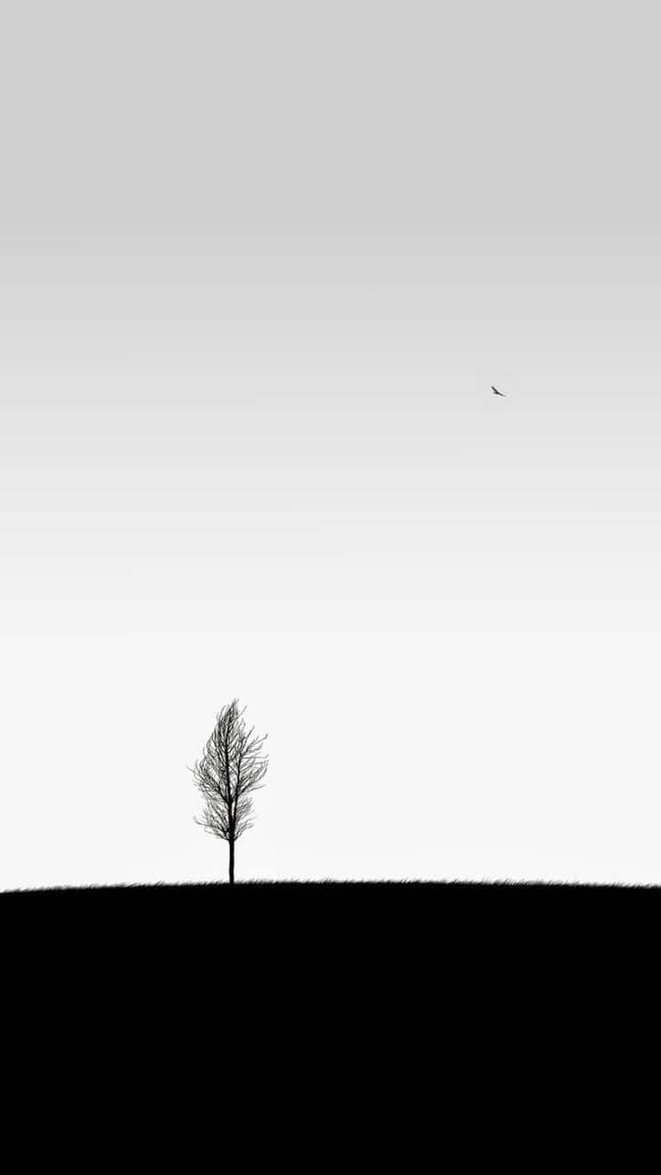 White Minimalist Tree iPhone, lone bare tree, dark hill, HD Phone Wallpaper