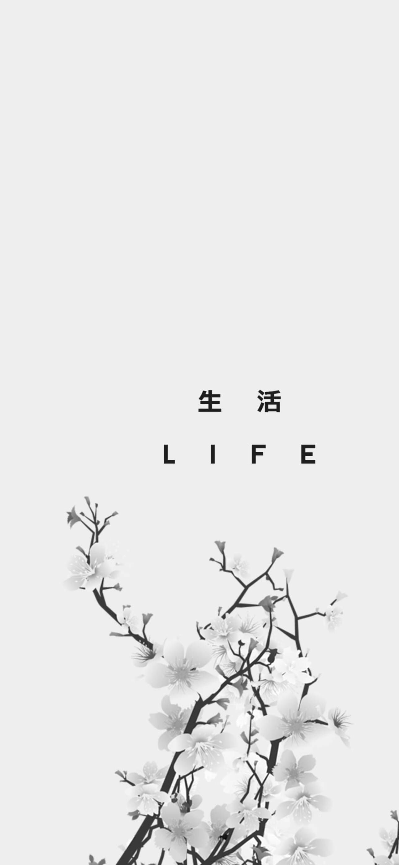 Japanese Aesthetic, cherry blossom branches, black and white, 2K Phone Wallpaper