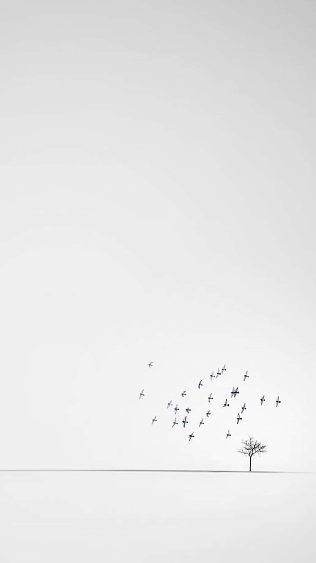white phone, lone bare tree, flock of birds, Full HD Phone Wallpaper