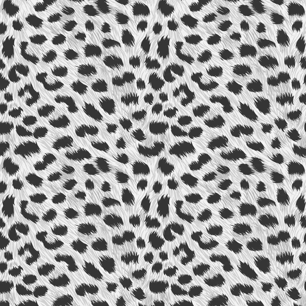 black and white leopard print pattern, textured fur strokes, SD Desktop Wallpaper