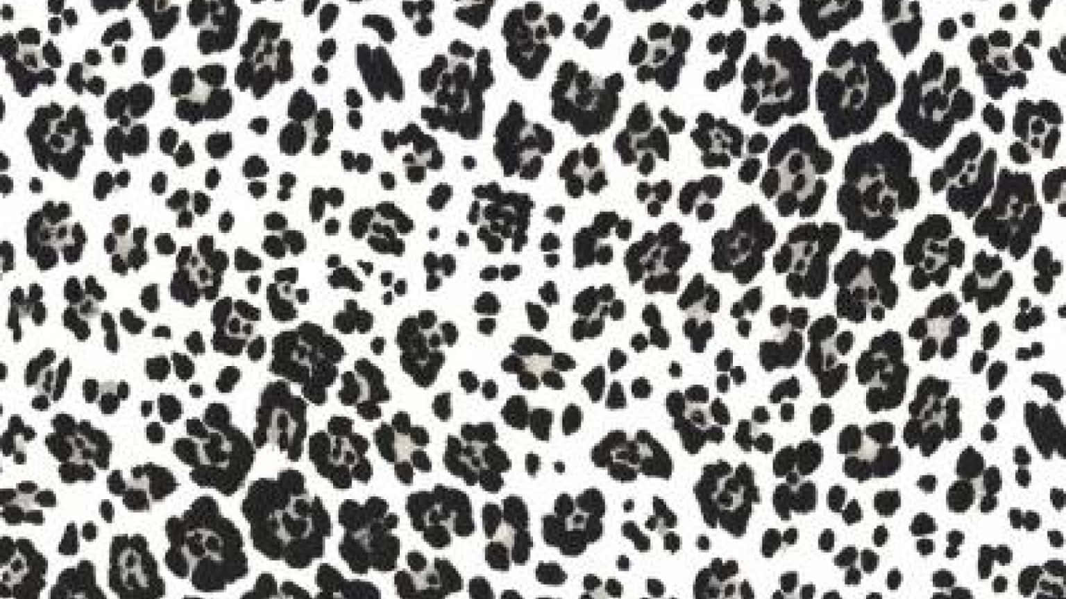 white leopard print, black, white, HD Desktop Wallpaper