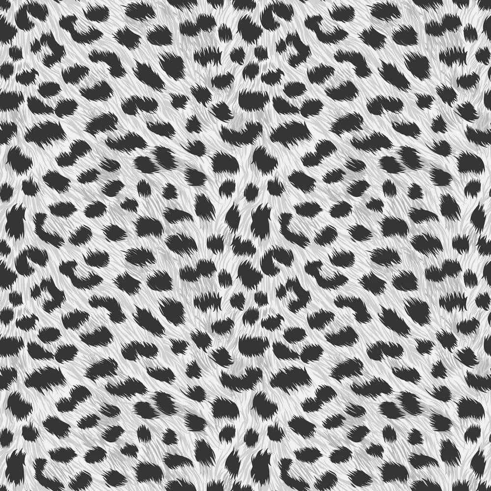 black and white leopard print pattern, textured fur strokes, SD Desktop Wallpaper