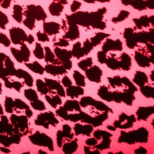 pink leopard print, leopard spots, repeating pattern, SD Desktop Wallpaper