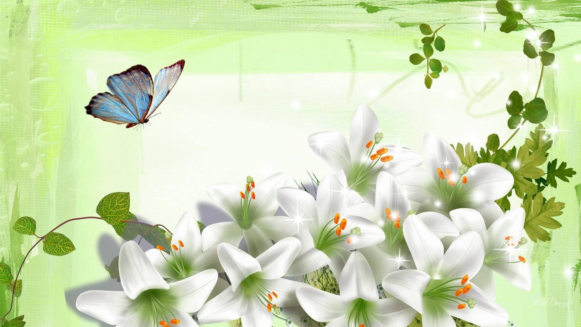 blue butterfly, glowing white lilies, orange stamens, Full HD Desktop Wallpaper