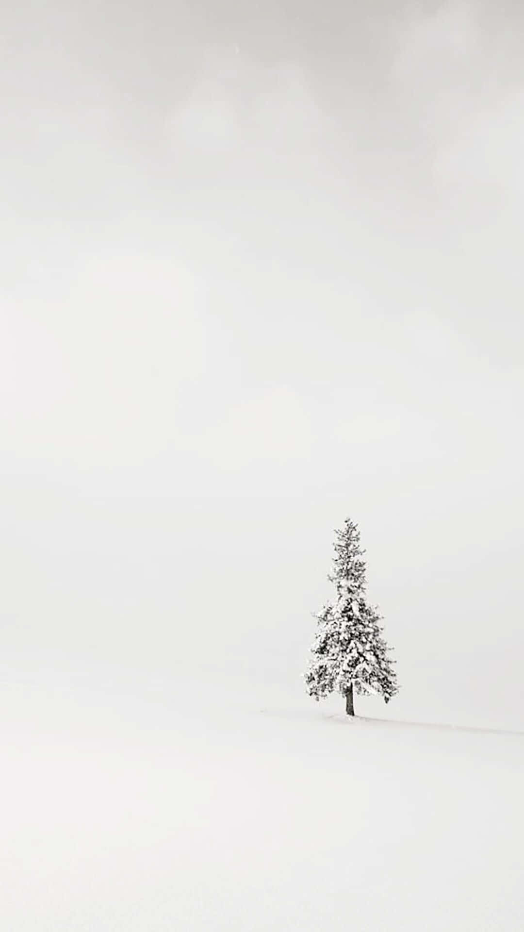snow-covered pine tree, endless white winter field, gray sky, Full HD Phone Wallpaper