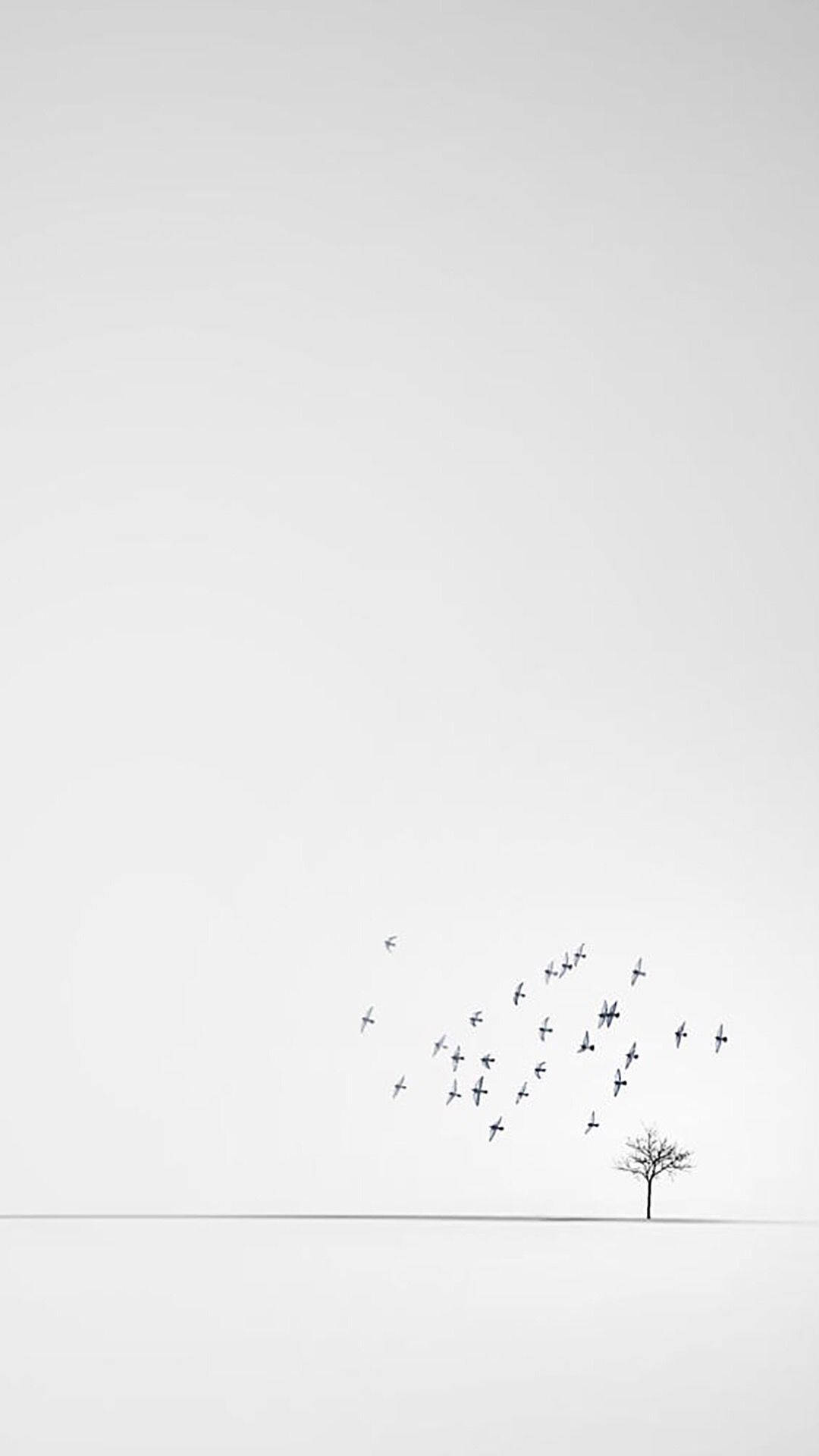 White Minimalist Avian Flock, bare tree, vast white expanse, Full HD Phone Wallpaper