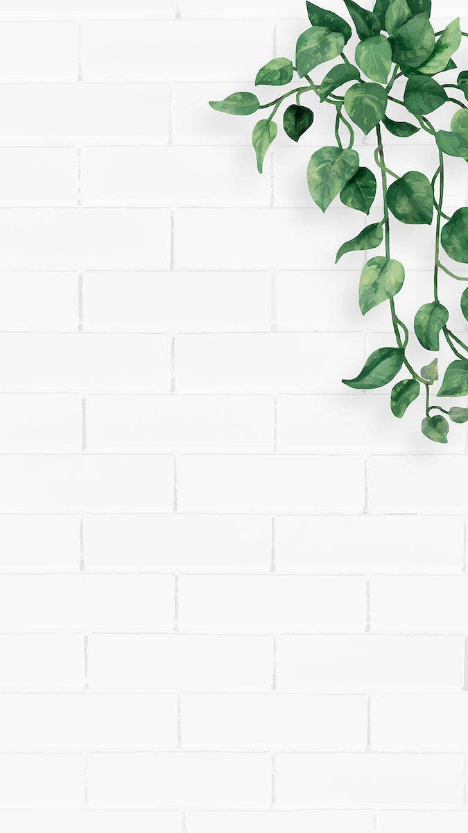 white aesthetic iphone, green hanging plant, vibrant green vine, SD Phone Wallpaper