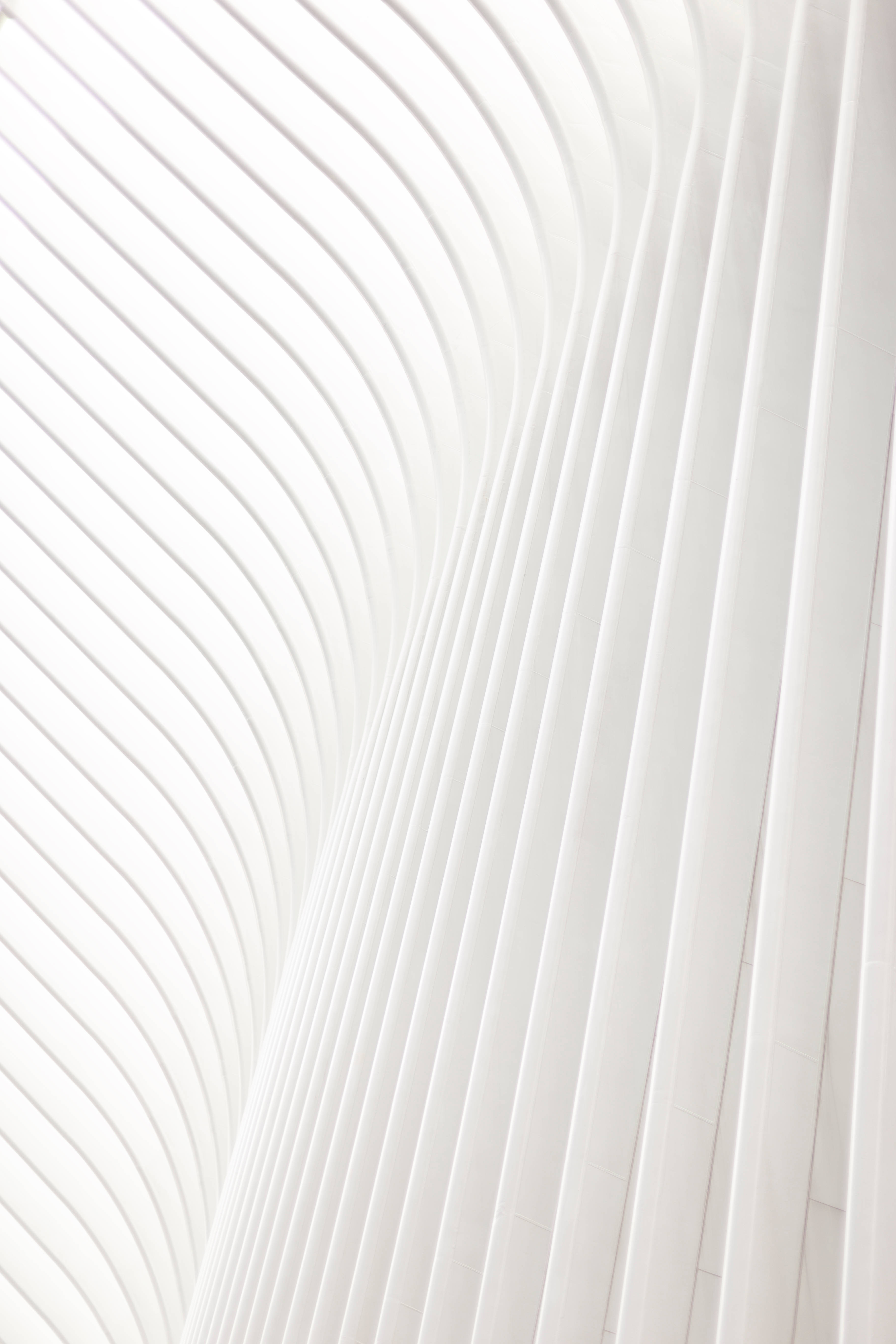 Bright White, minimalist, white, 5K Phone Wallpaper