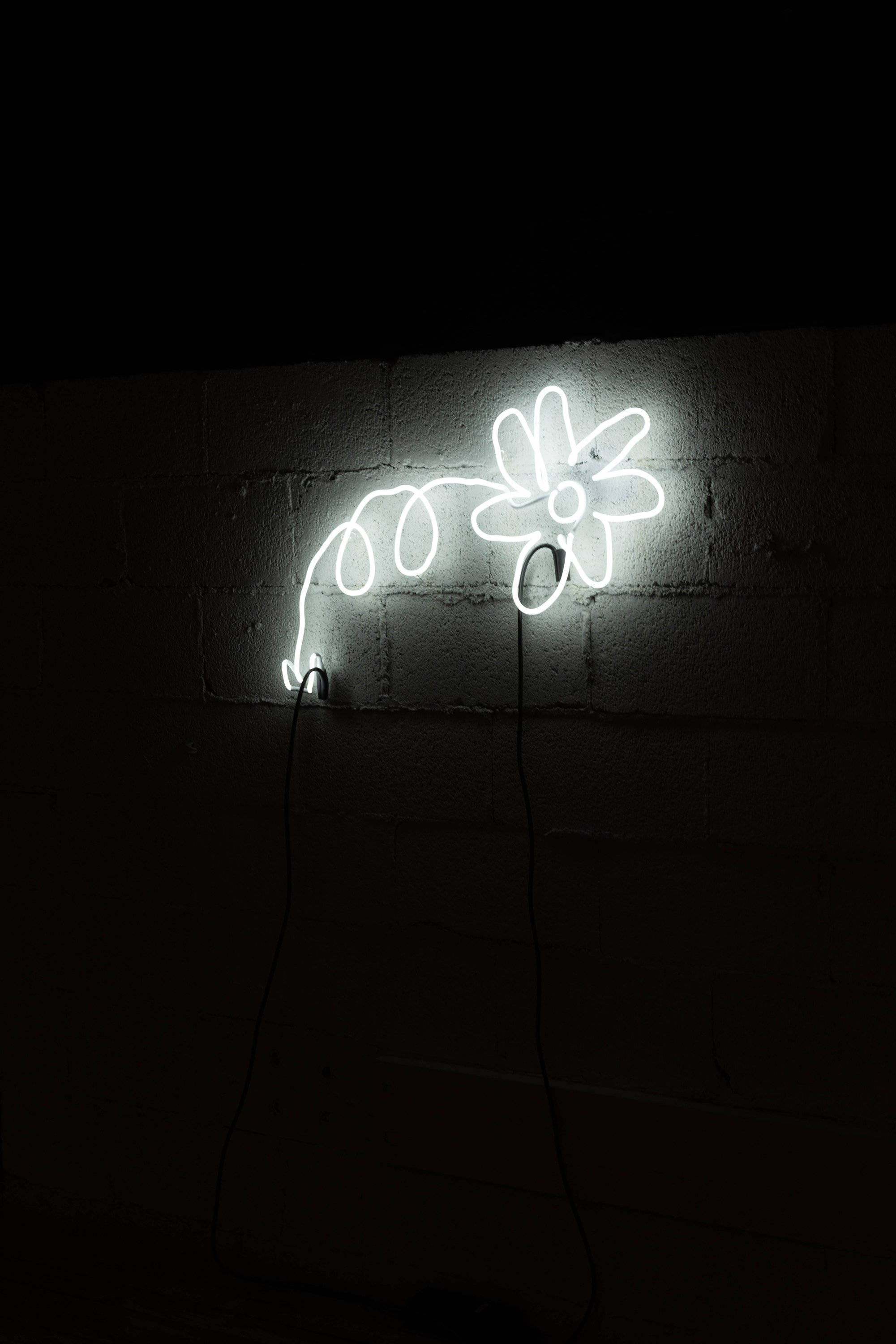 White Neon Aesthetic, glowing white neon flower, stem and leaves, 2K Phone Wallpaper