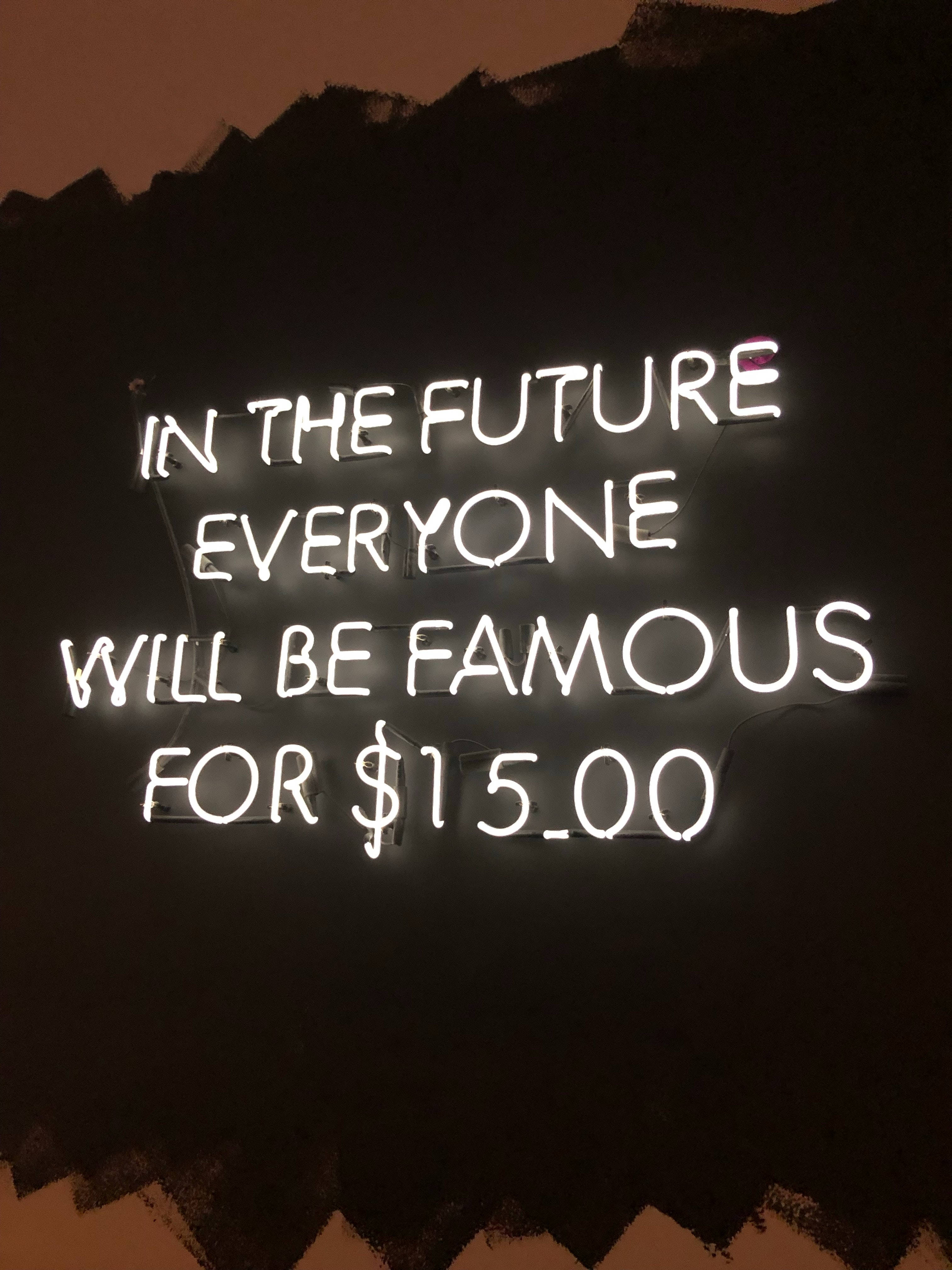 In The Future, white neon sign, IN THE FUTURE EVERYONE WILL BE FAMOUS FOR $15.00, 4K Phone Wallpaper