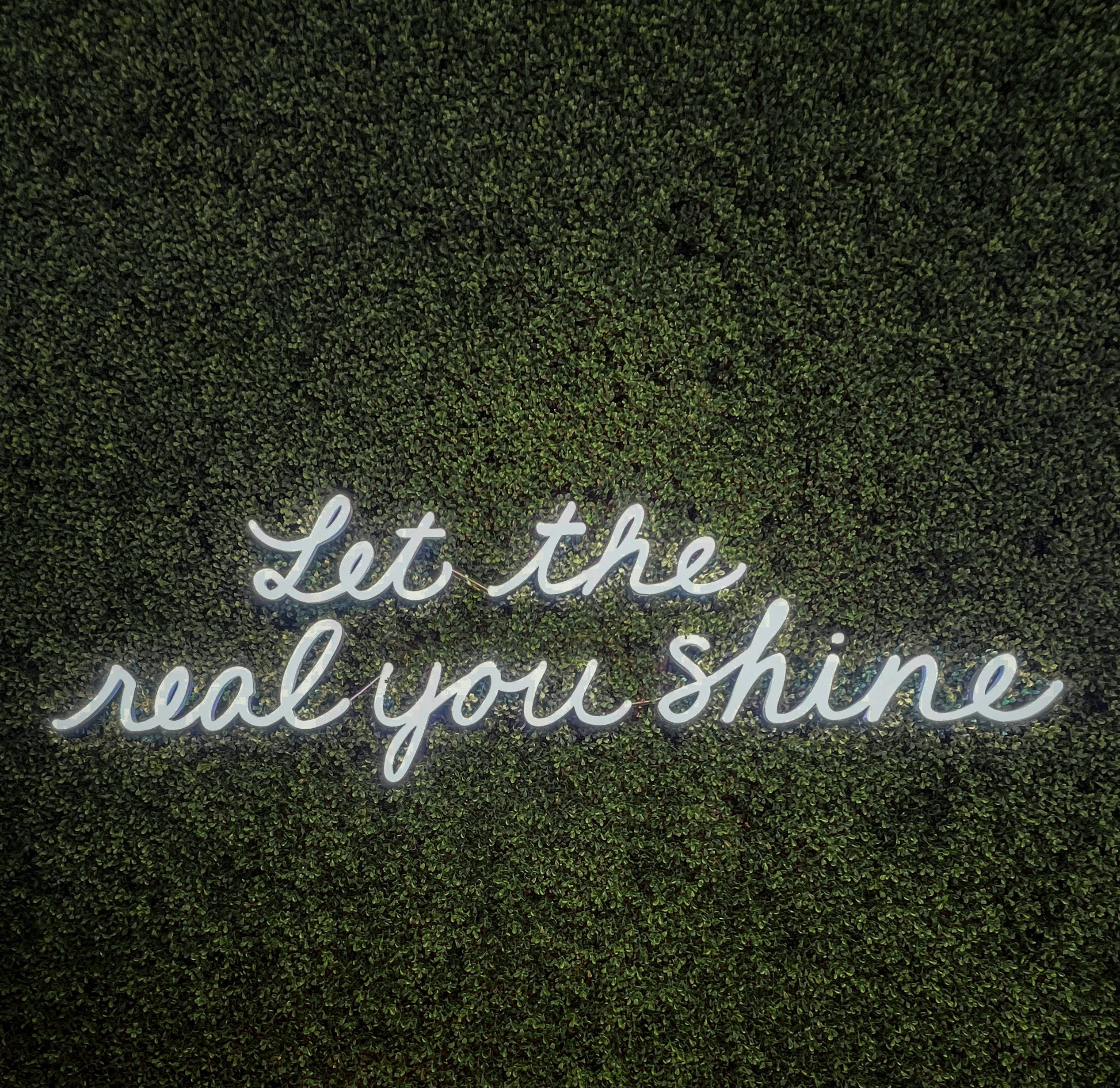 Let the real you shine, white cursive neon sign, dark green textured moss wall, Full HD Desktop Wallpaper